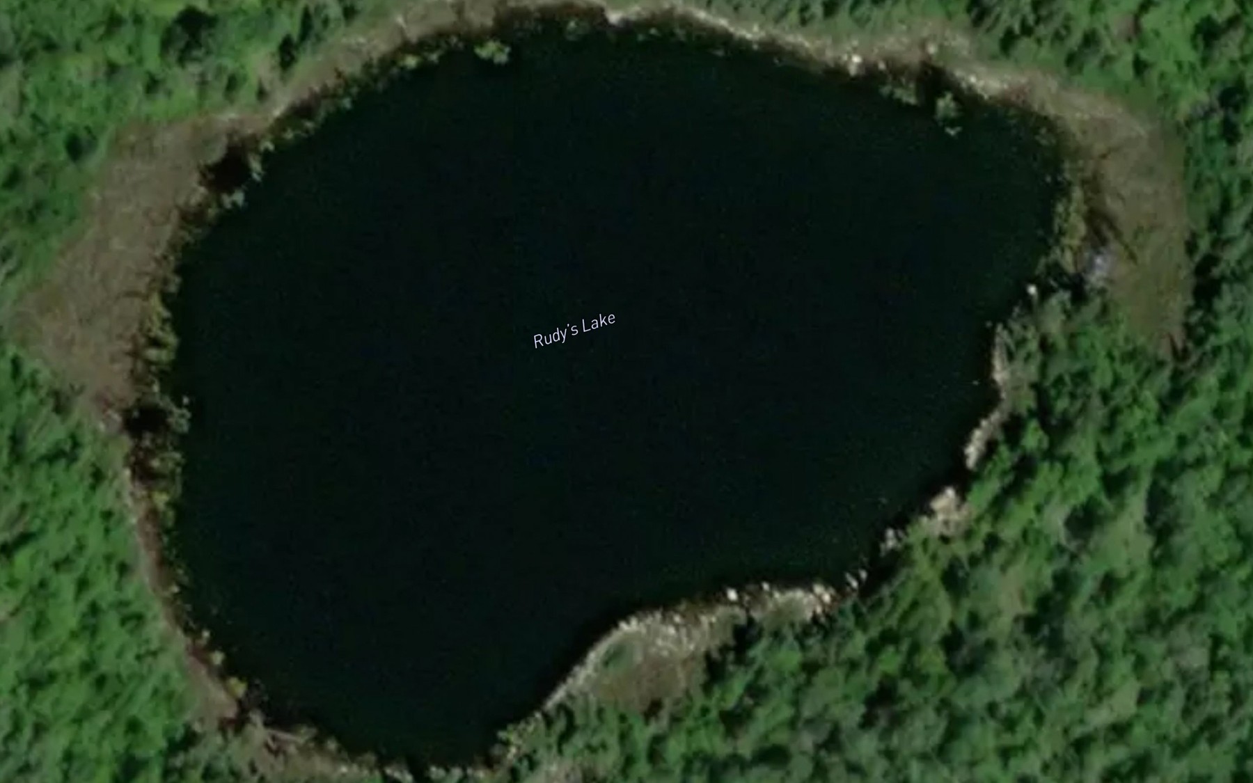 Satellite map of the Rudy's Lake