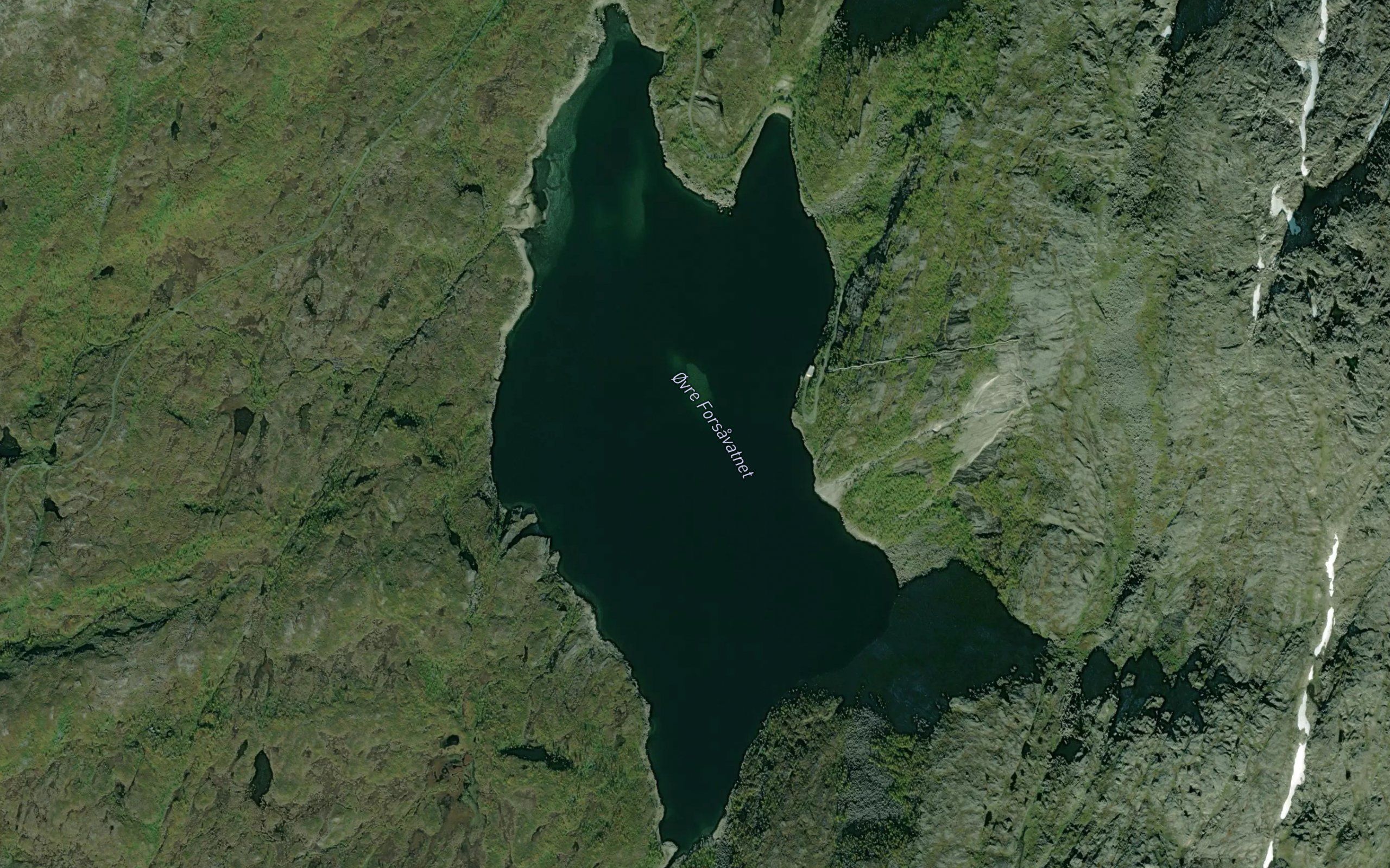 Forsavatna