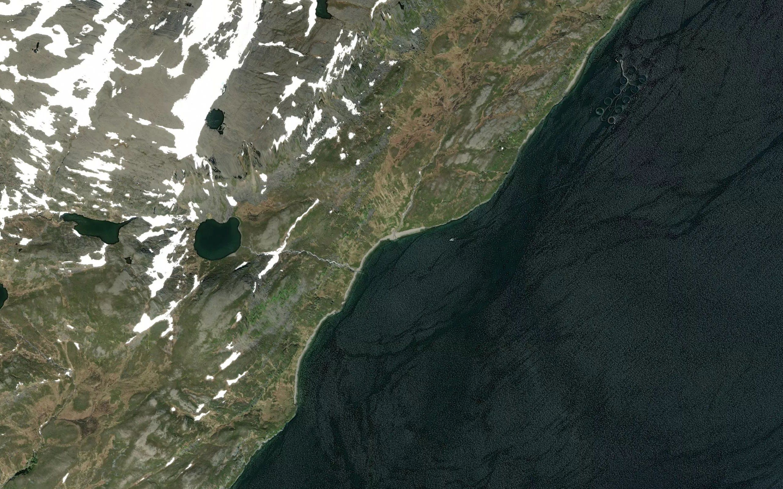 Toknebukta