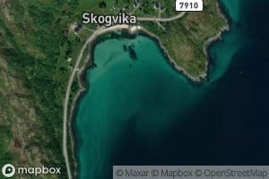 Skogvika