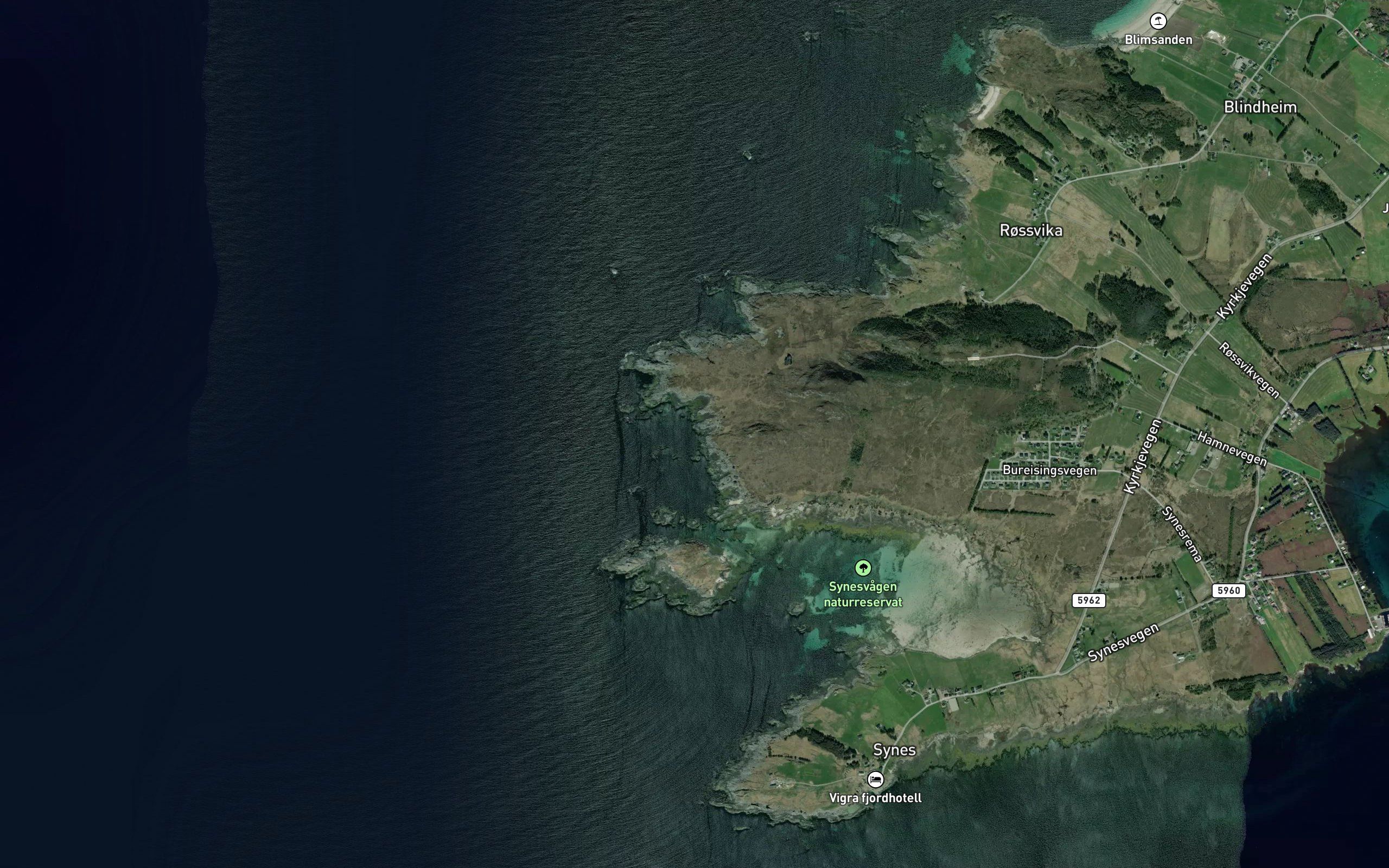 Gronevikane