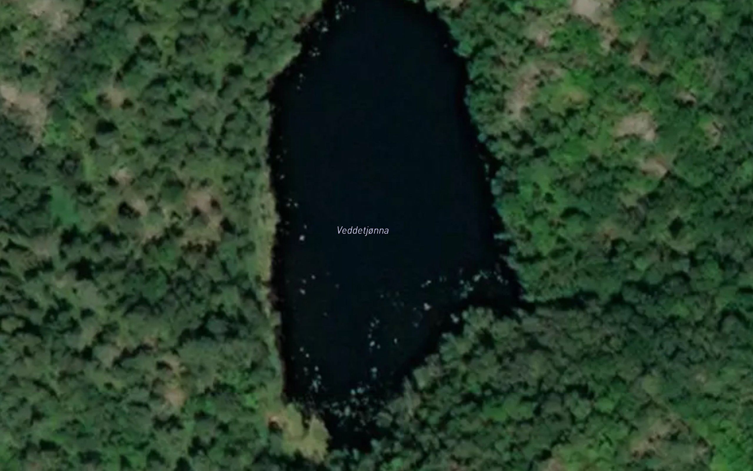 Veddetjonna
