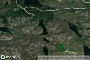Tvitjornane