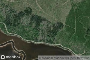 Byron Creek