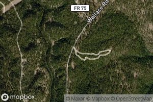 Satellite map of the Fivemile Lake