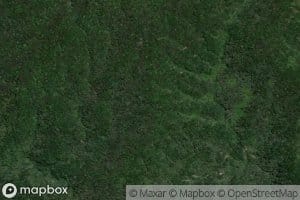 Whaingatikitiki Stream