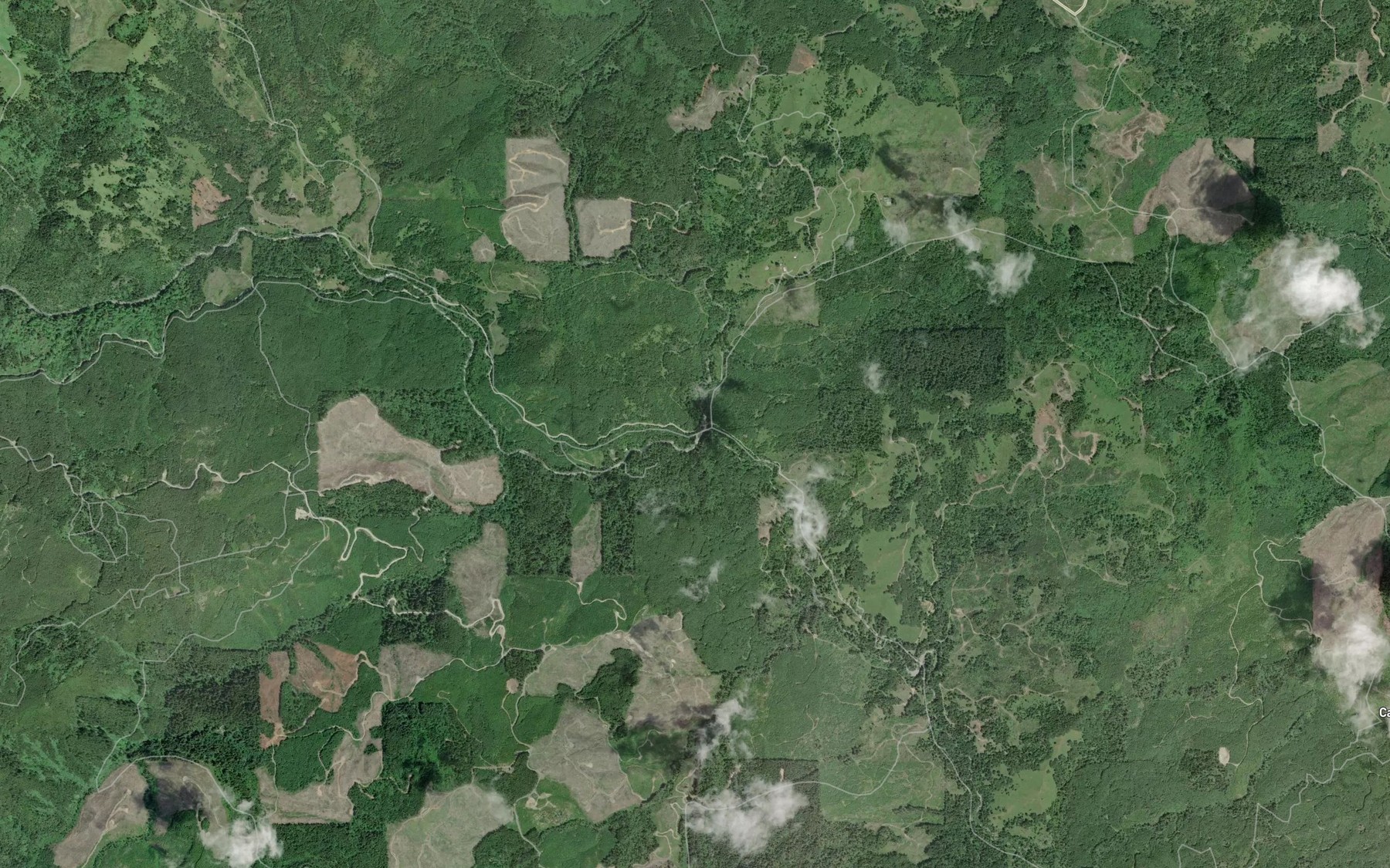 Satellite map of the North Fork Floras Creek