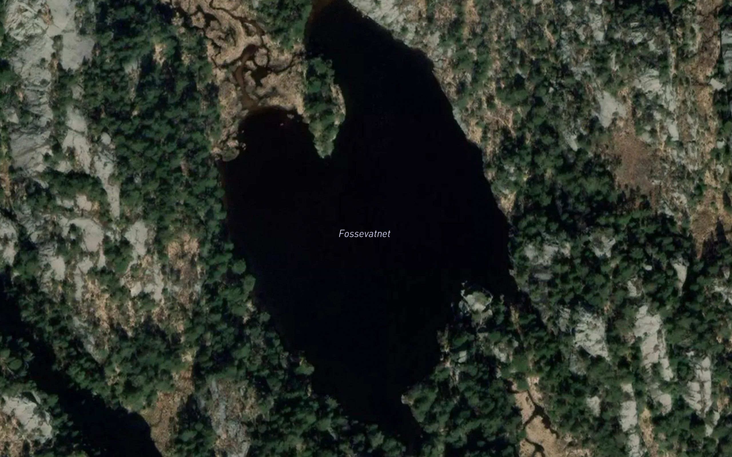 Fossevatnet