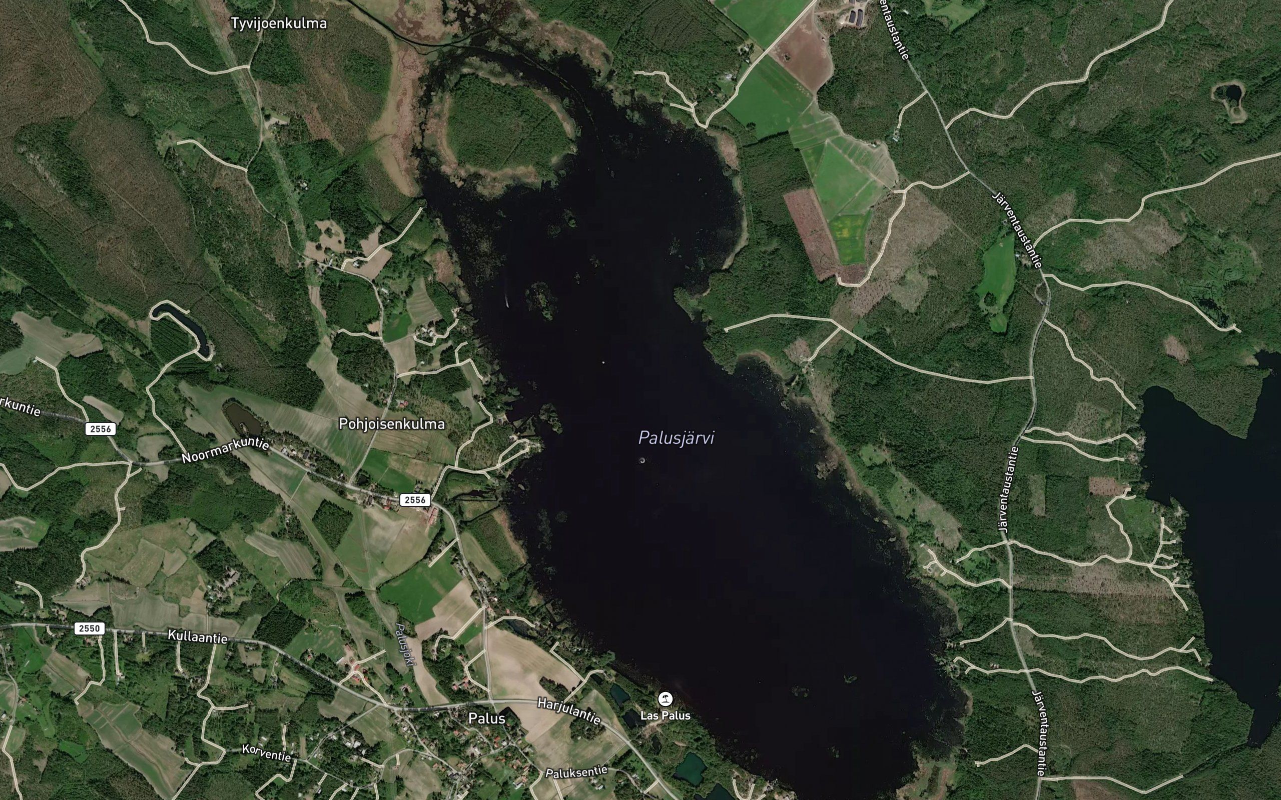 Palusjarvi