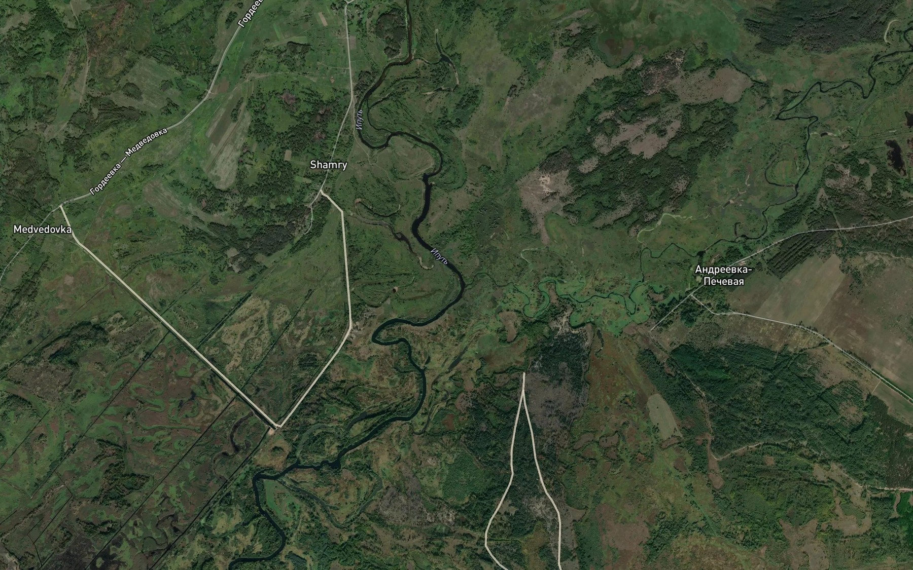 Satellite map of the Vetka