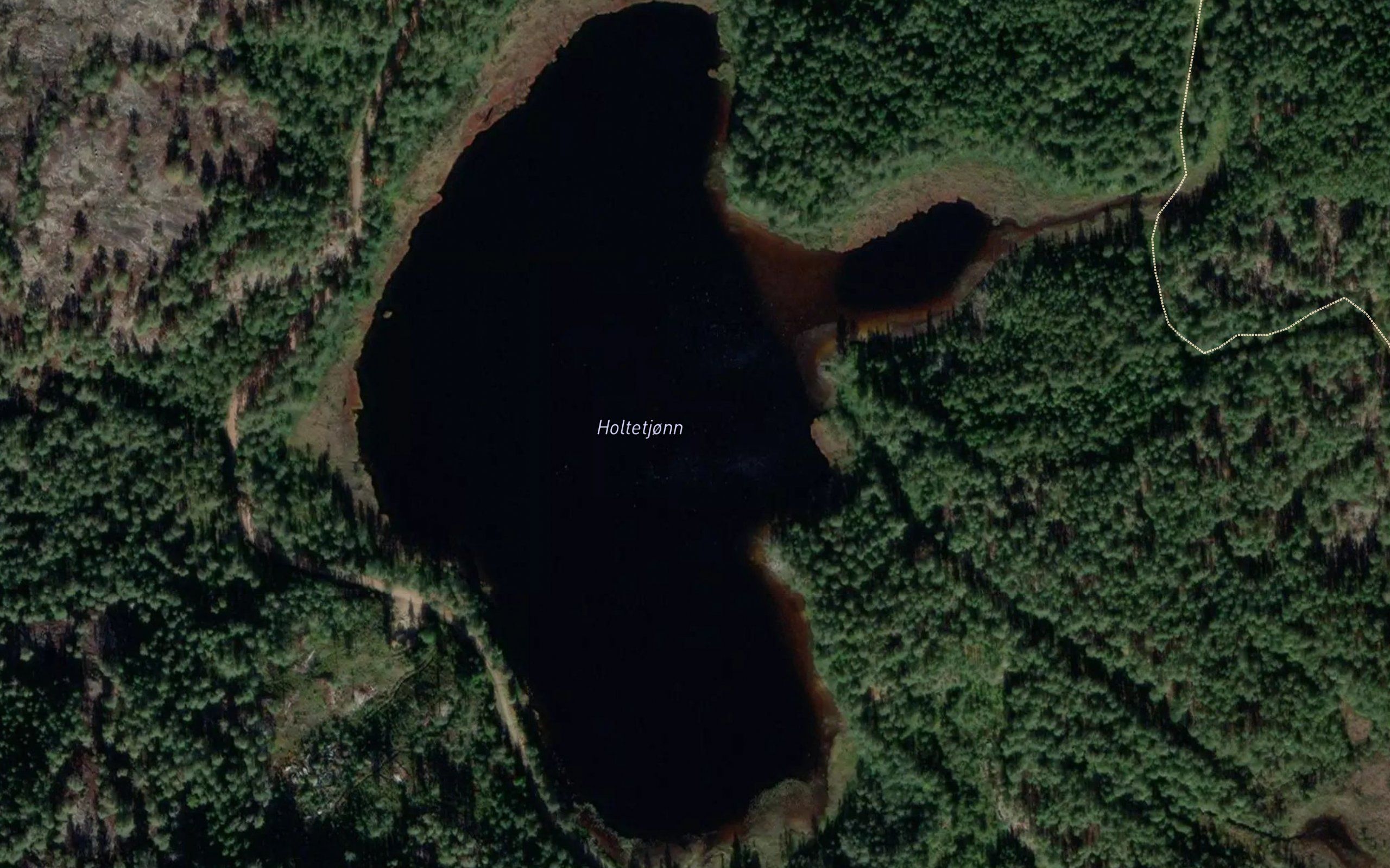 Holtetjorn