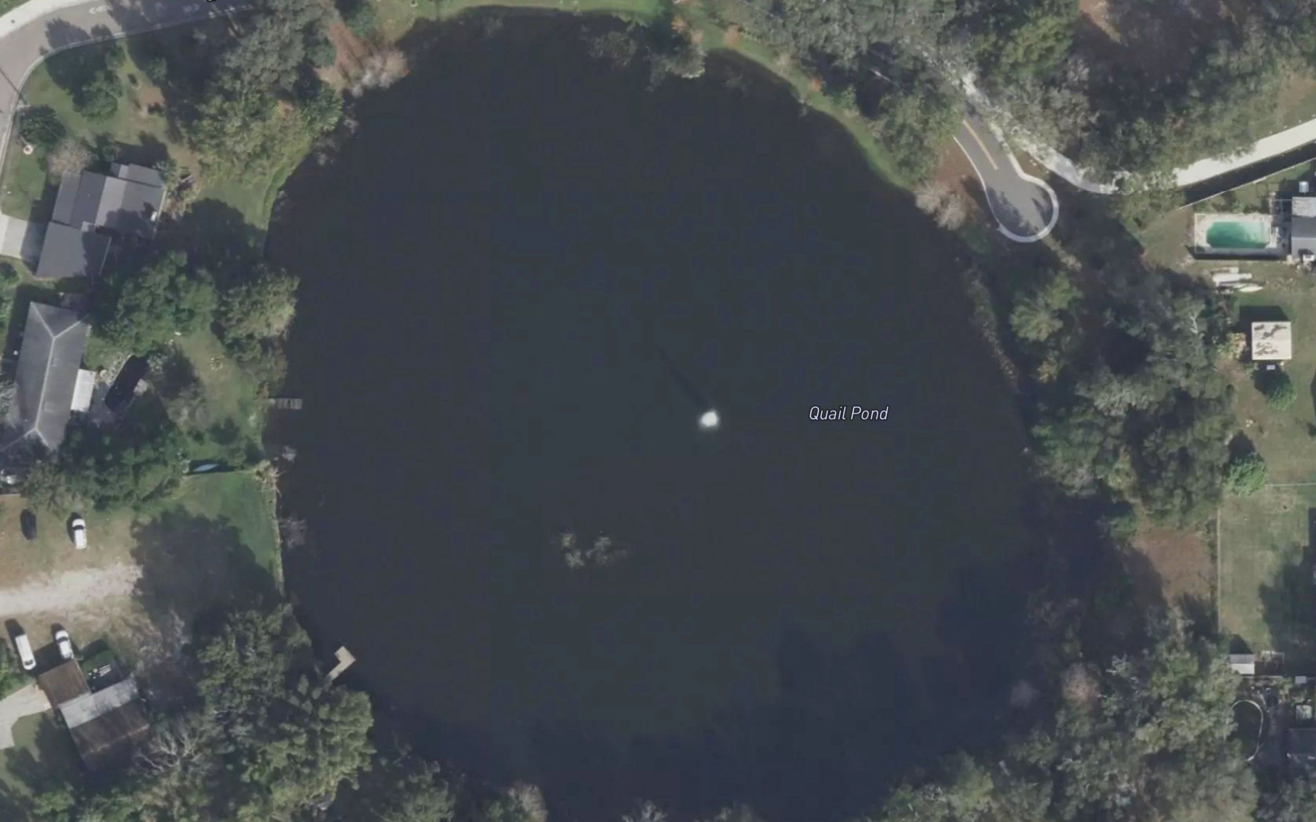 Quail Pond