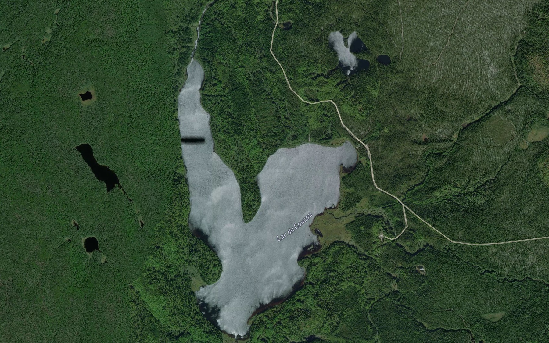 Satellite map of the Lac du Coucou