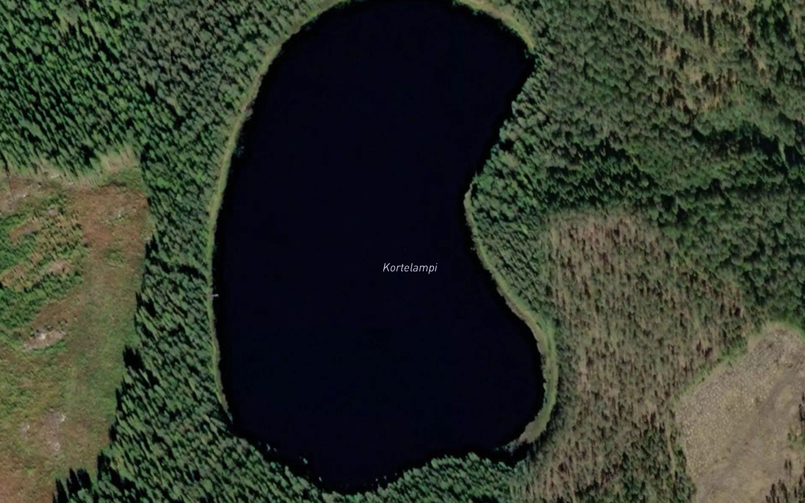 Kortelampi