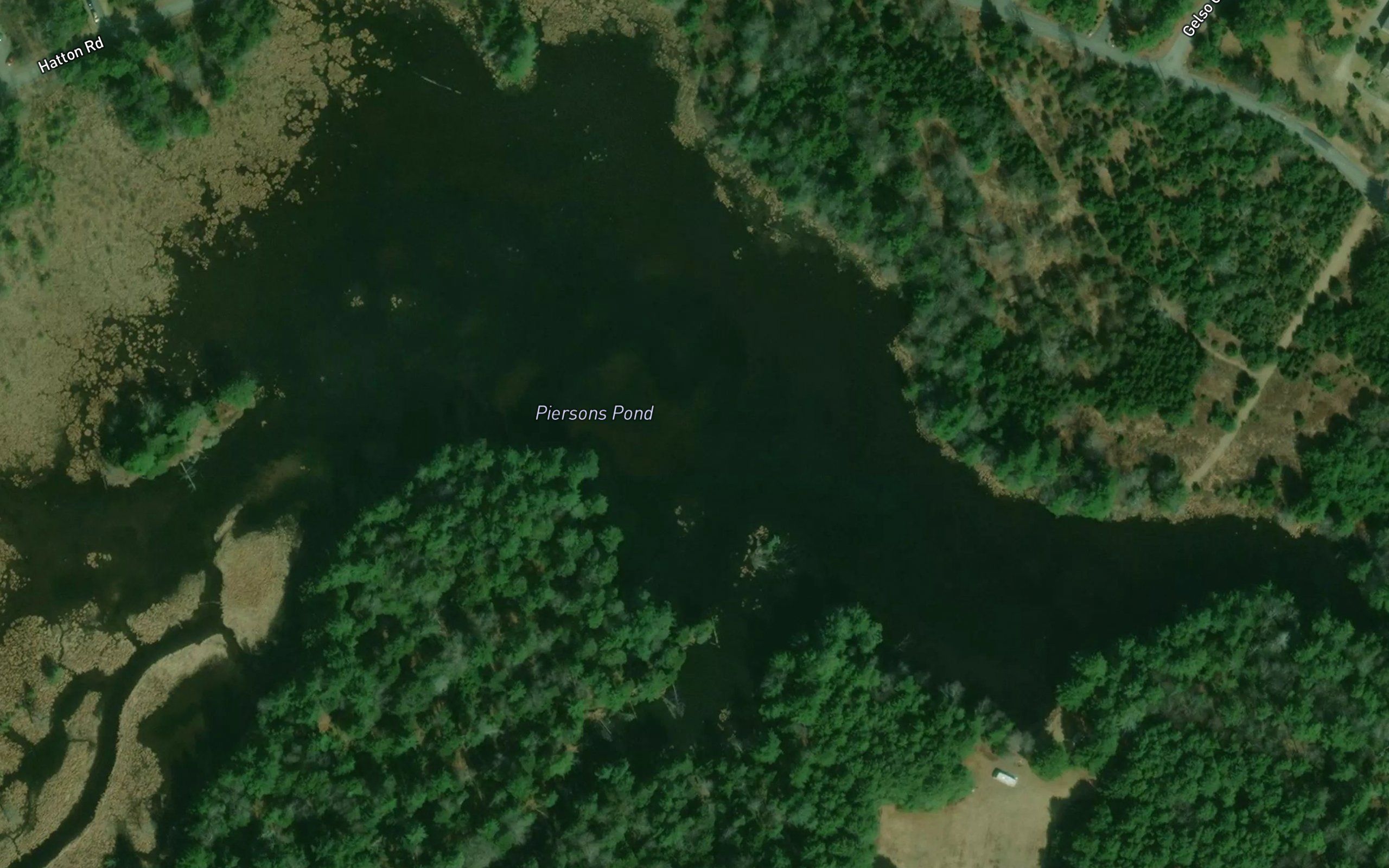 Persons Pond