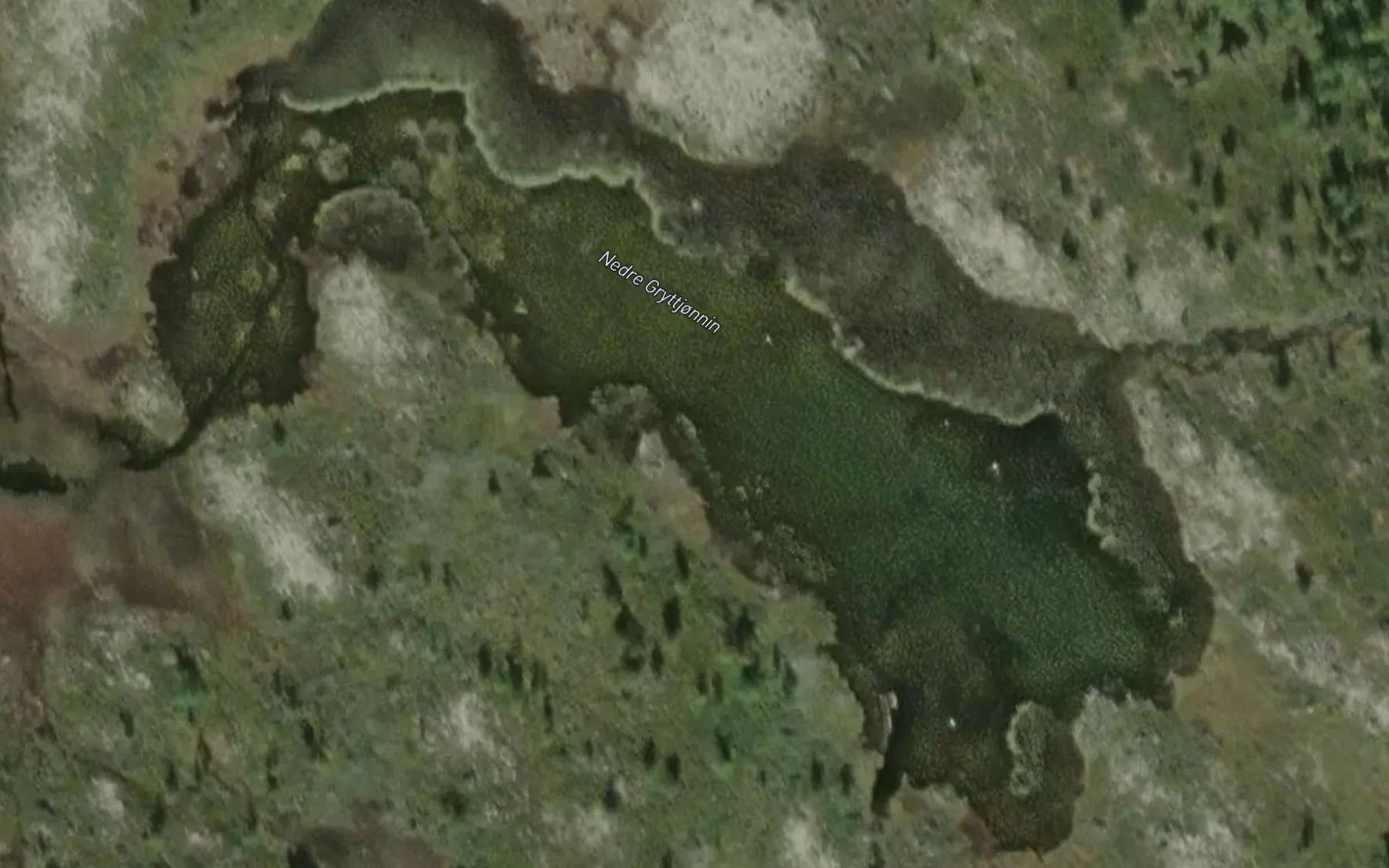 Satellite map of the Nedre Gryttjonnin