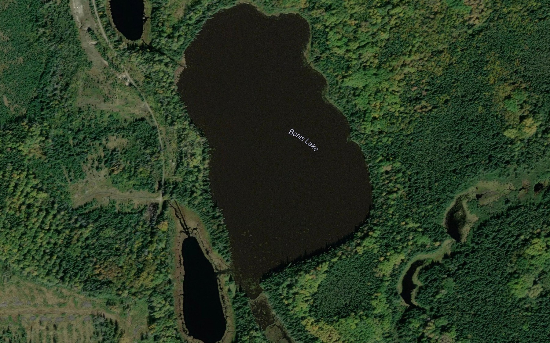 Satellite map of the Bonis Lake