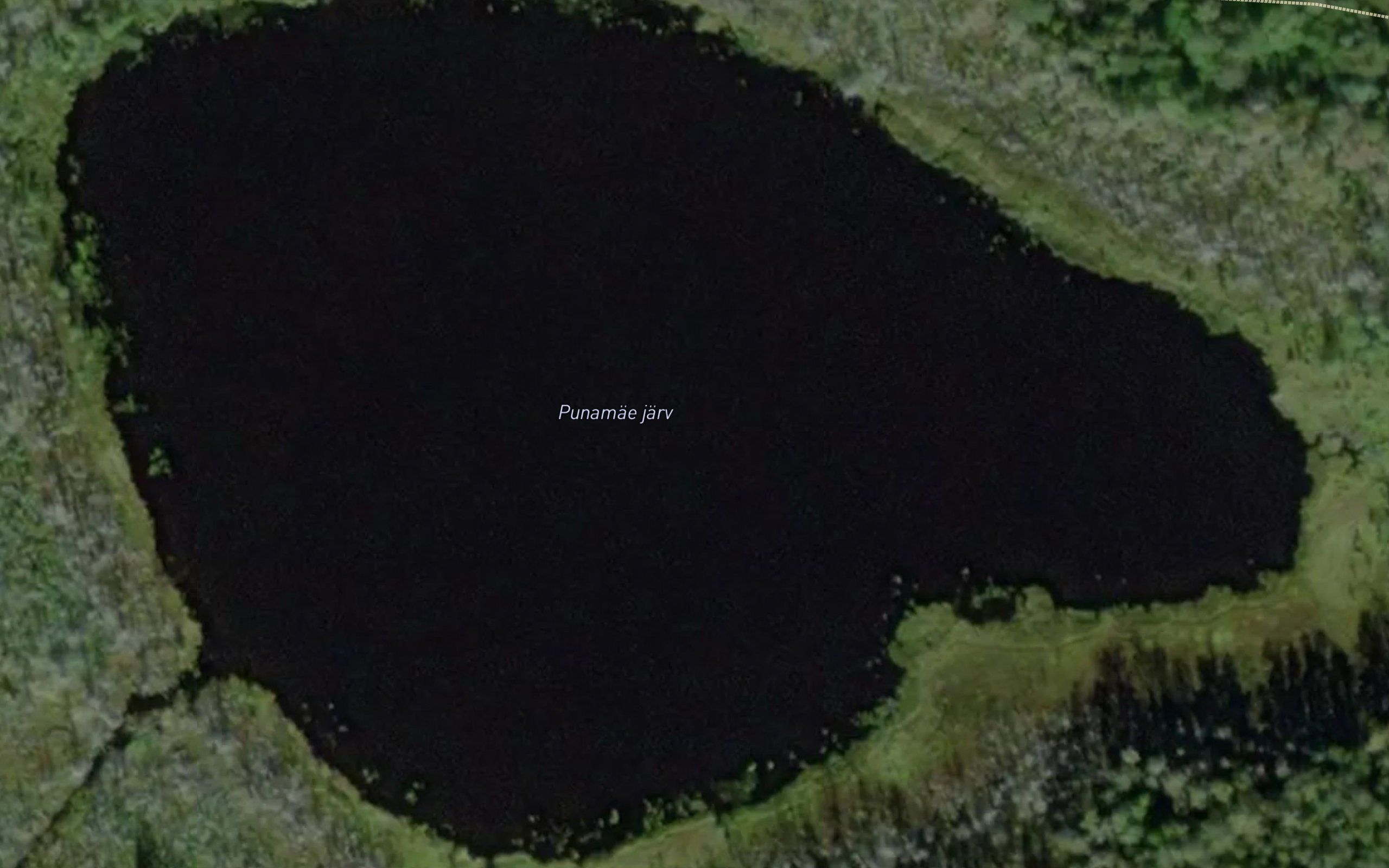 Punamae Jarv