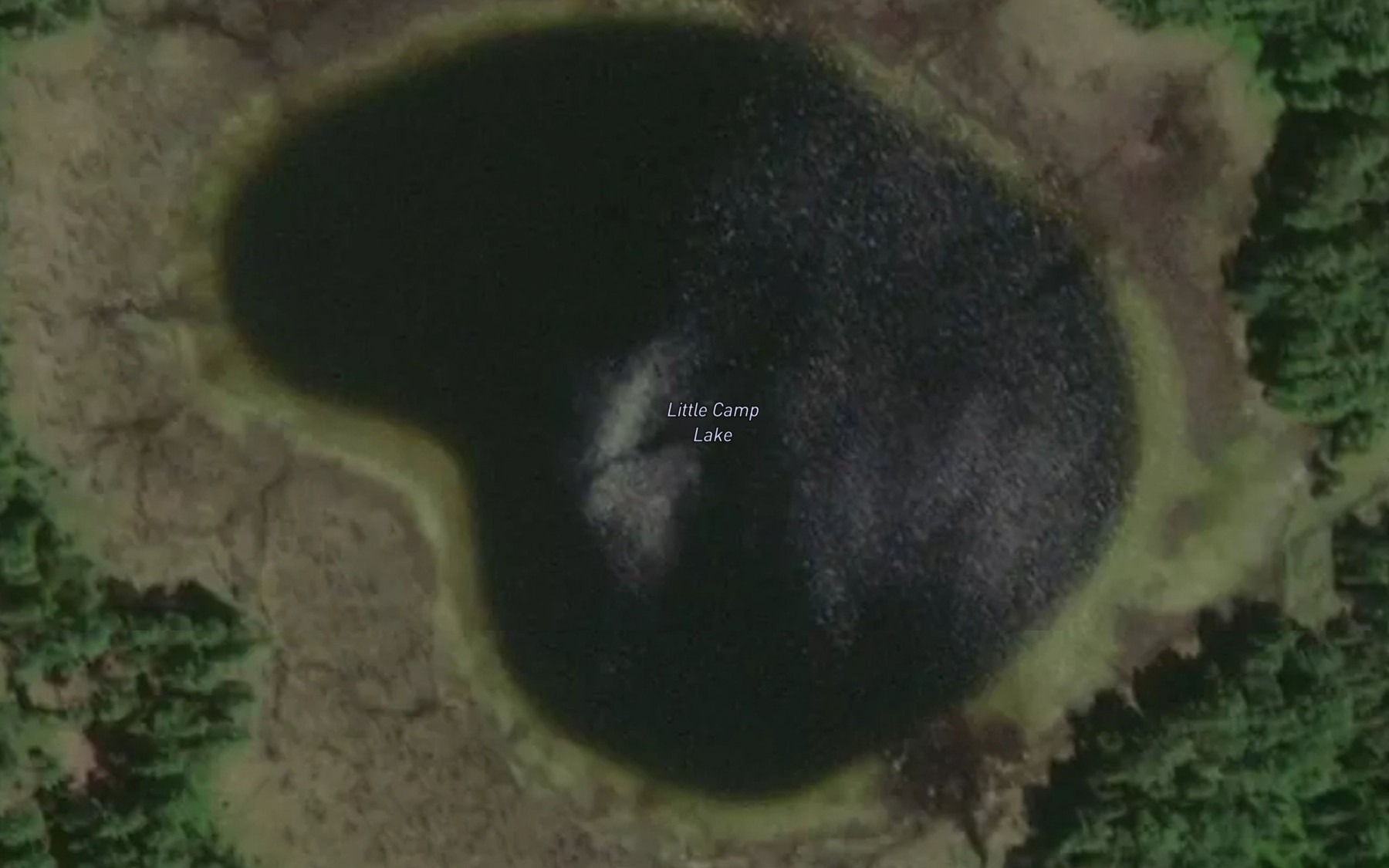 Satellite map of the Little Camp Lake