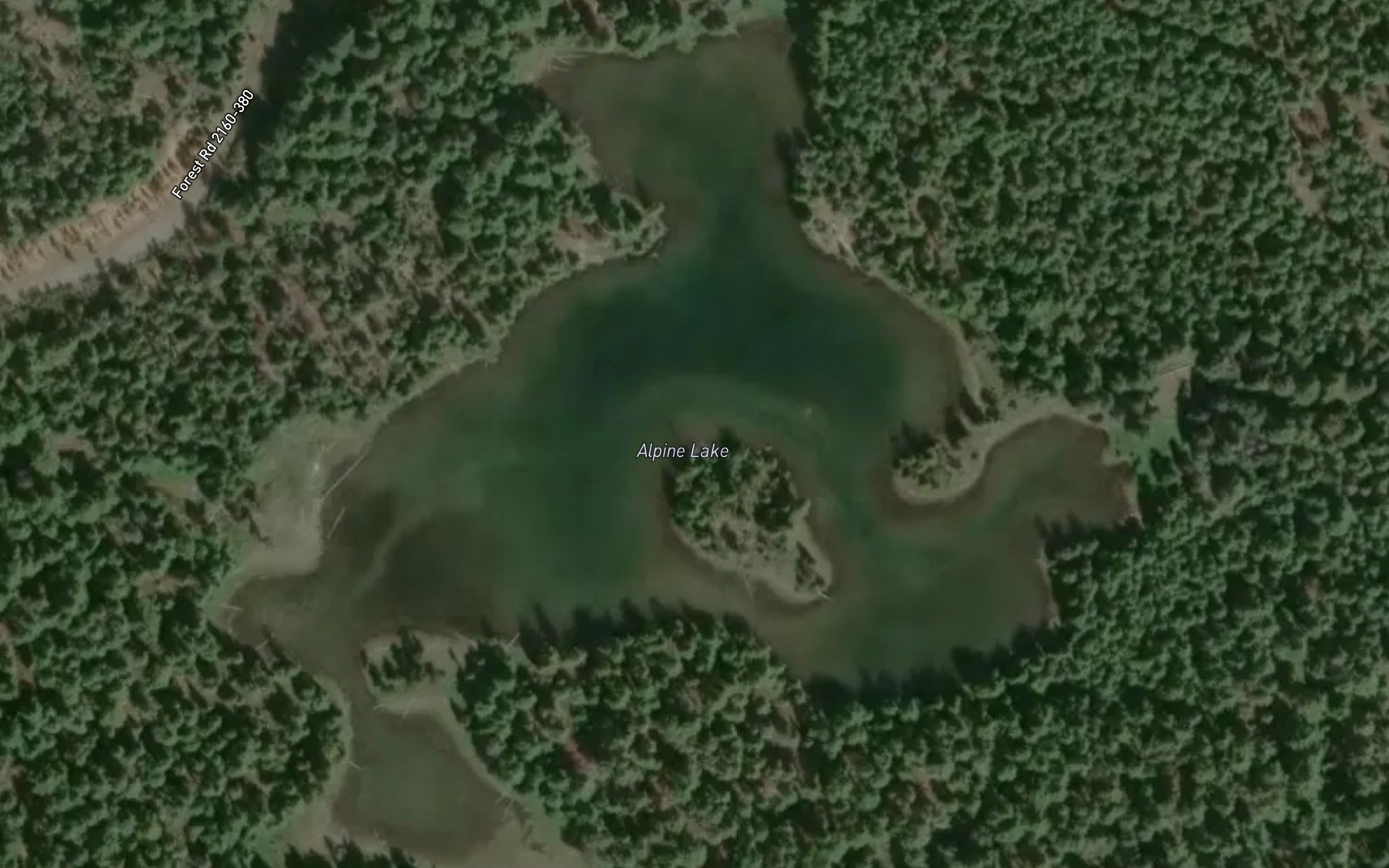 Satellite map of the Alpine Lake