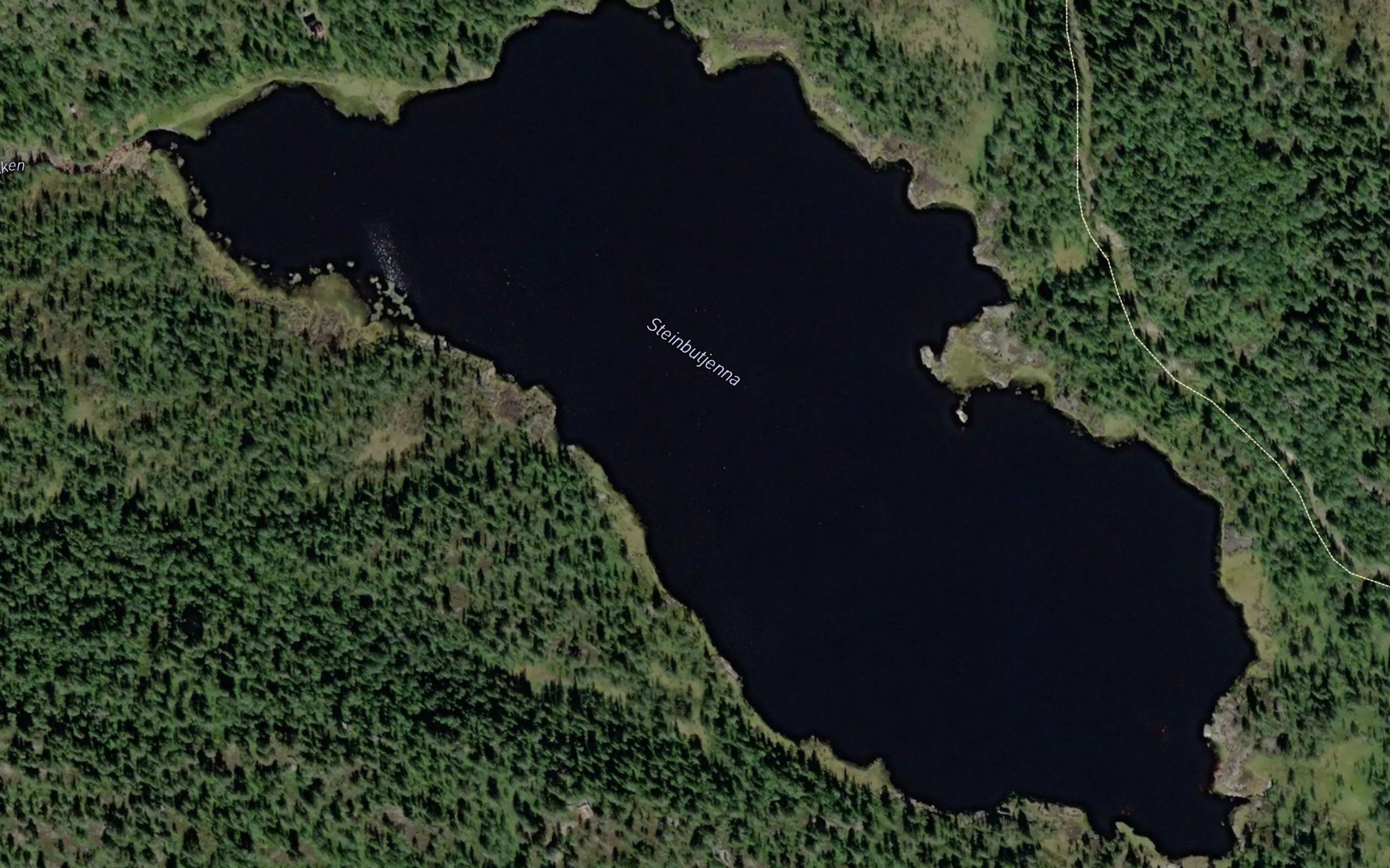 Steinbutjorni