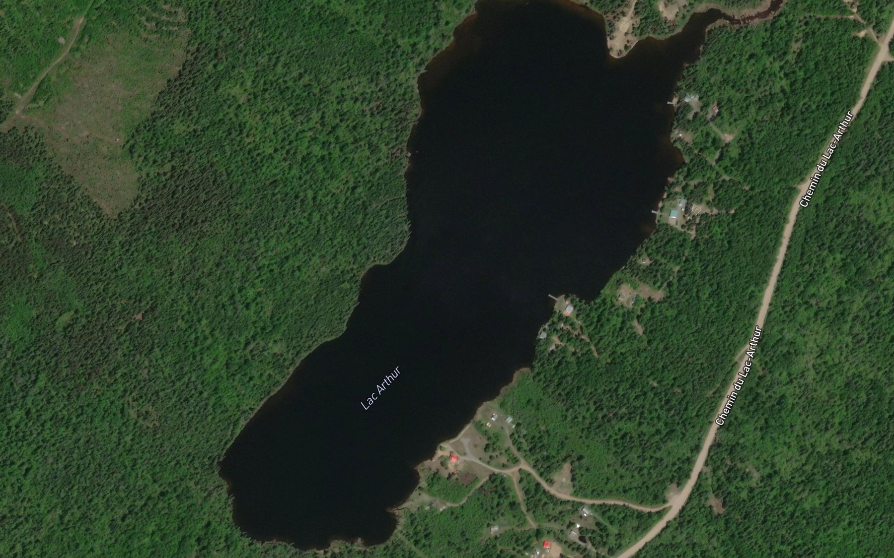 Satellite map of the Lac Arthur