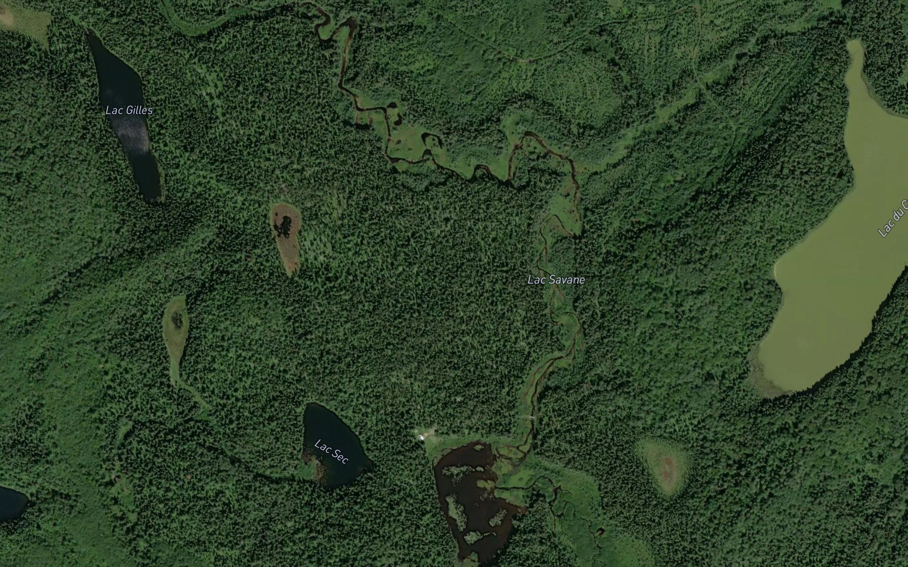 Satellite map of the Lac Savane