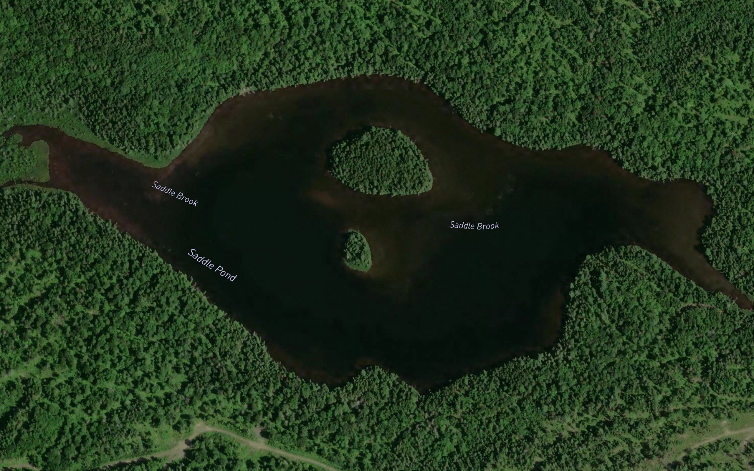 Saddle Pond