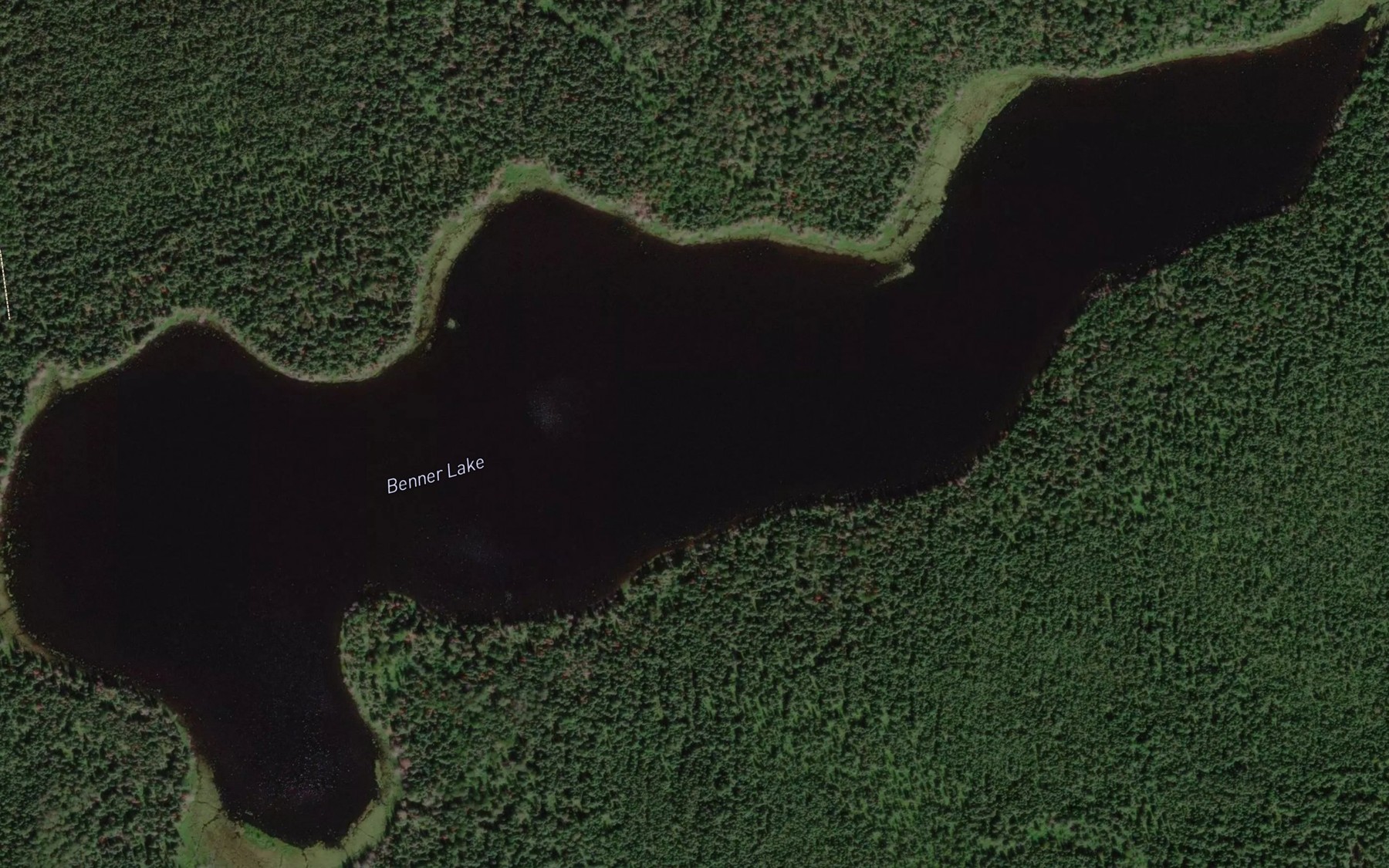 Satellite map of the Benner Lake