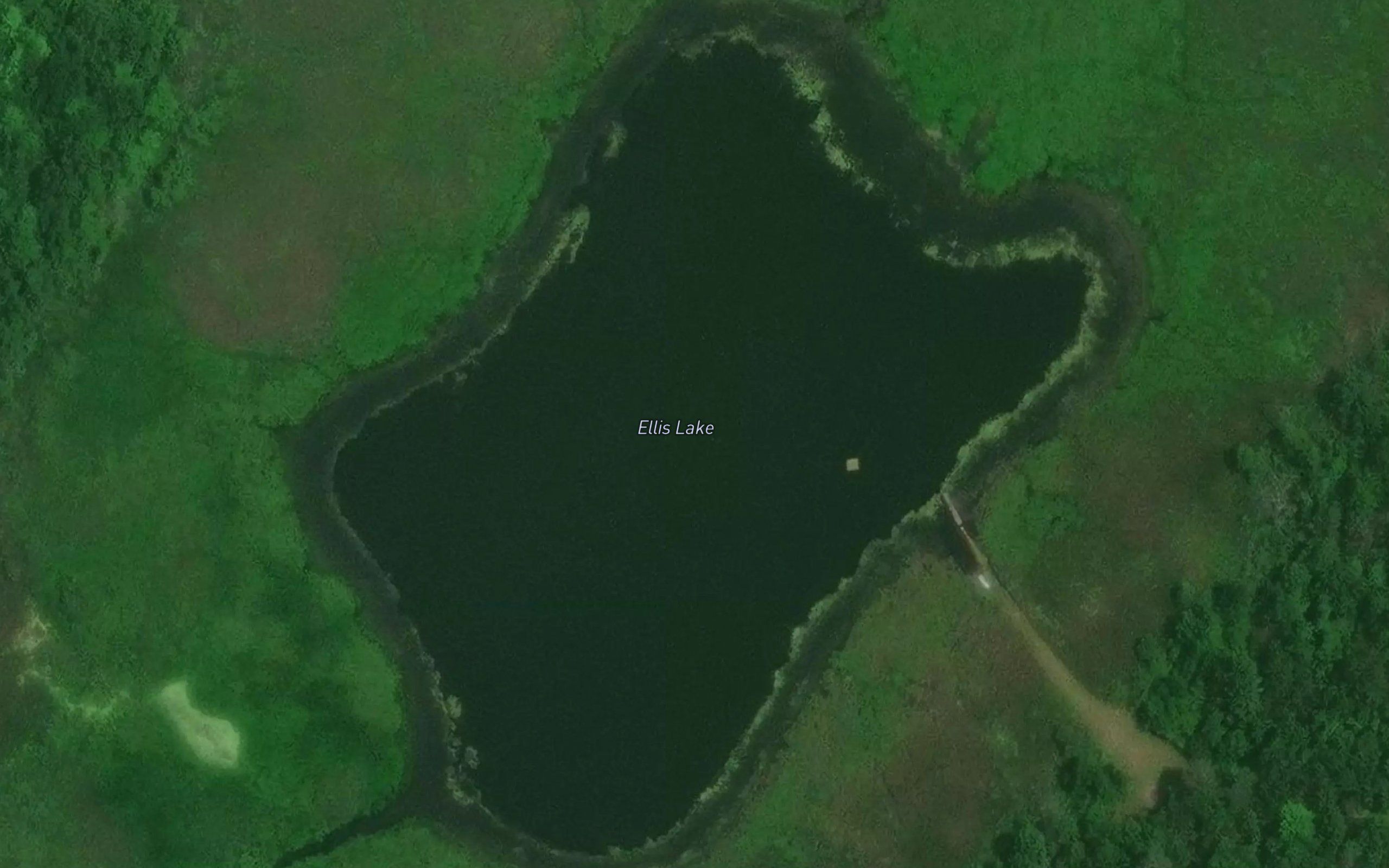 Ellis Lake