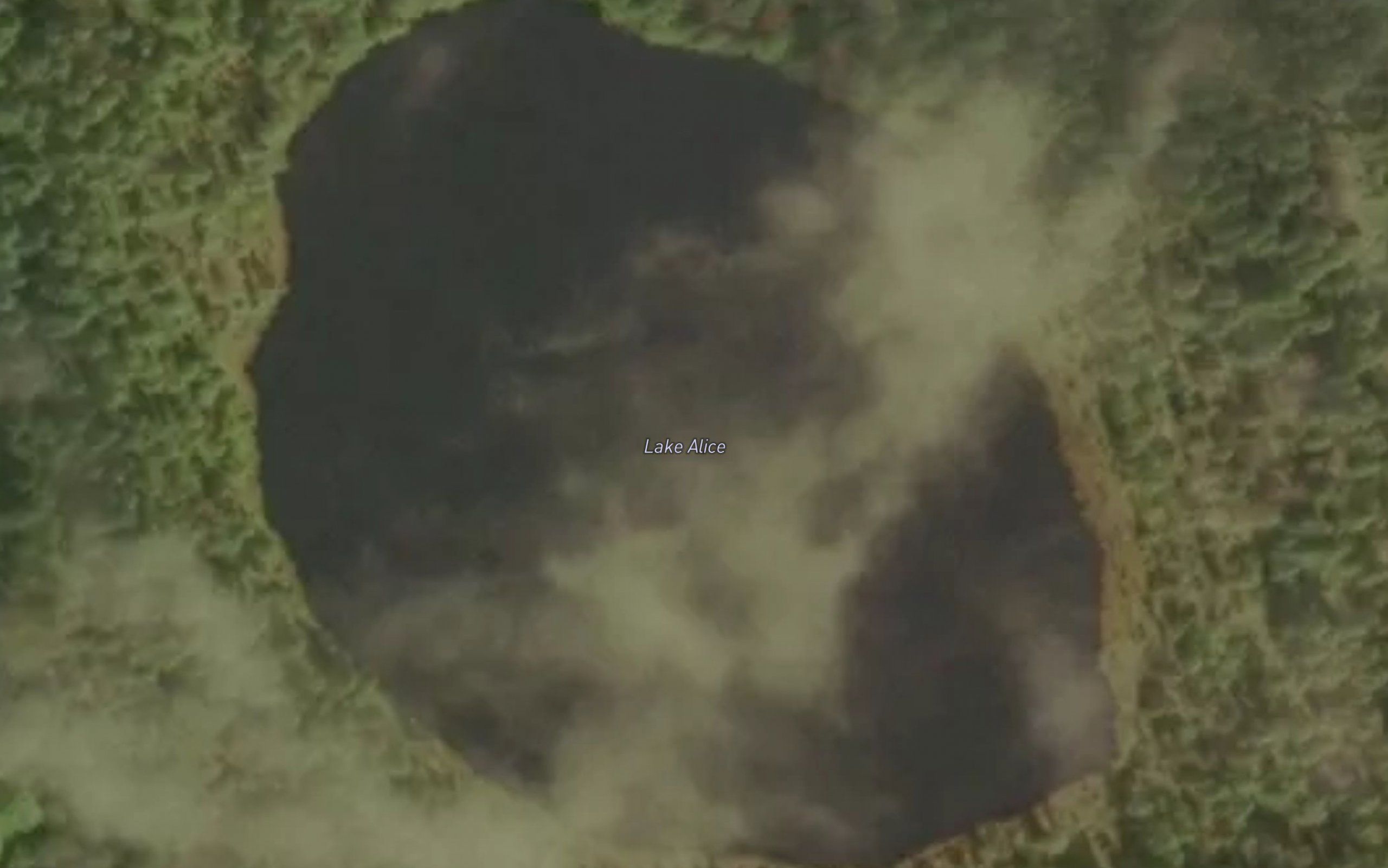 Lake Alice