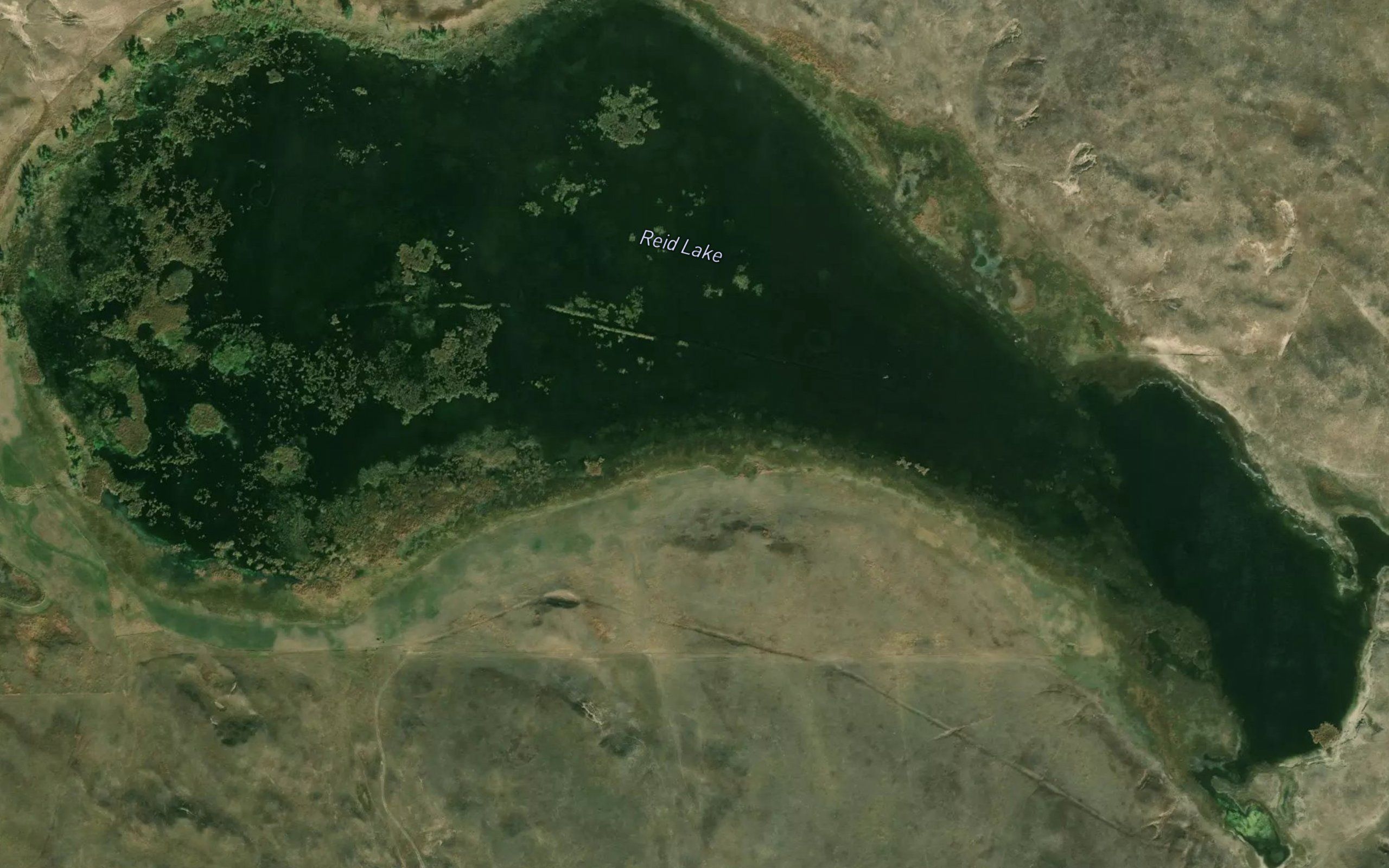 Reid Lake