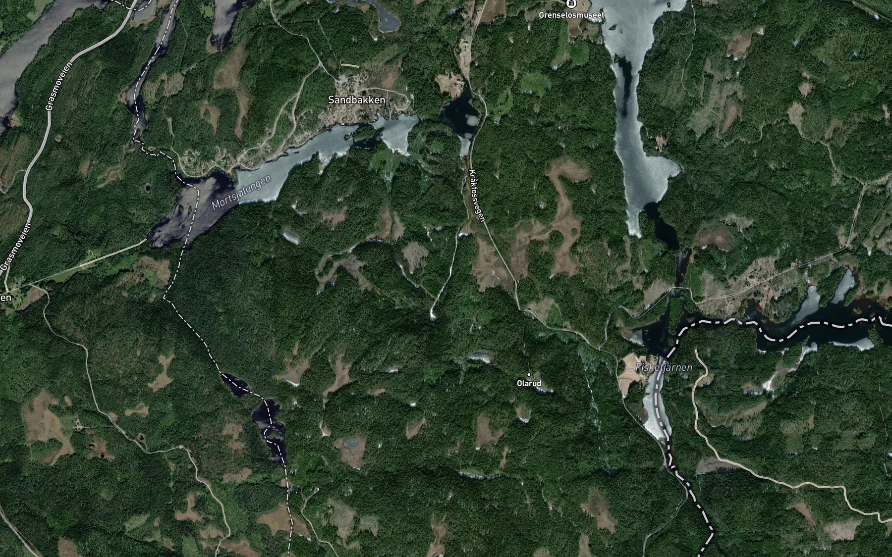 Satellite map of the Domsjorka