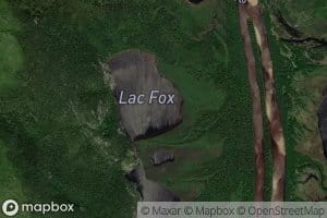 Lac Fox