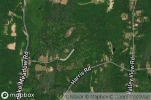 Wood Brook