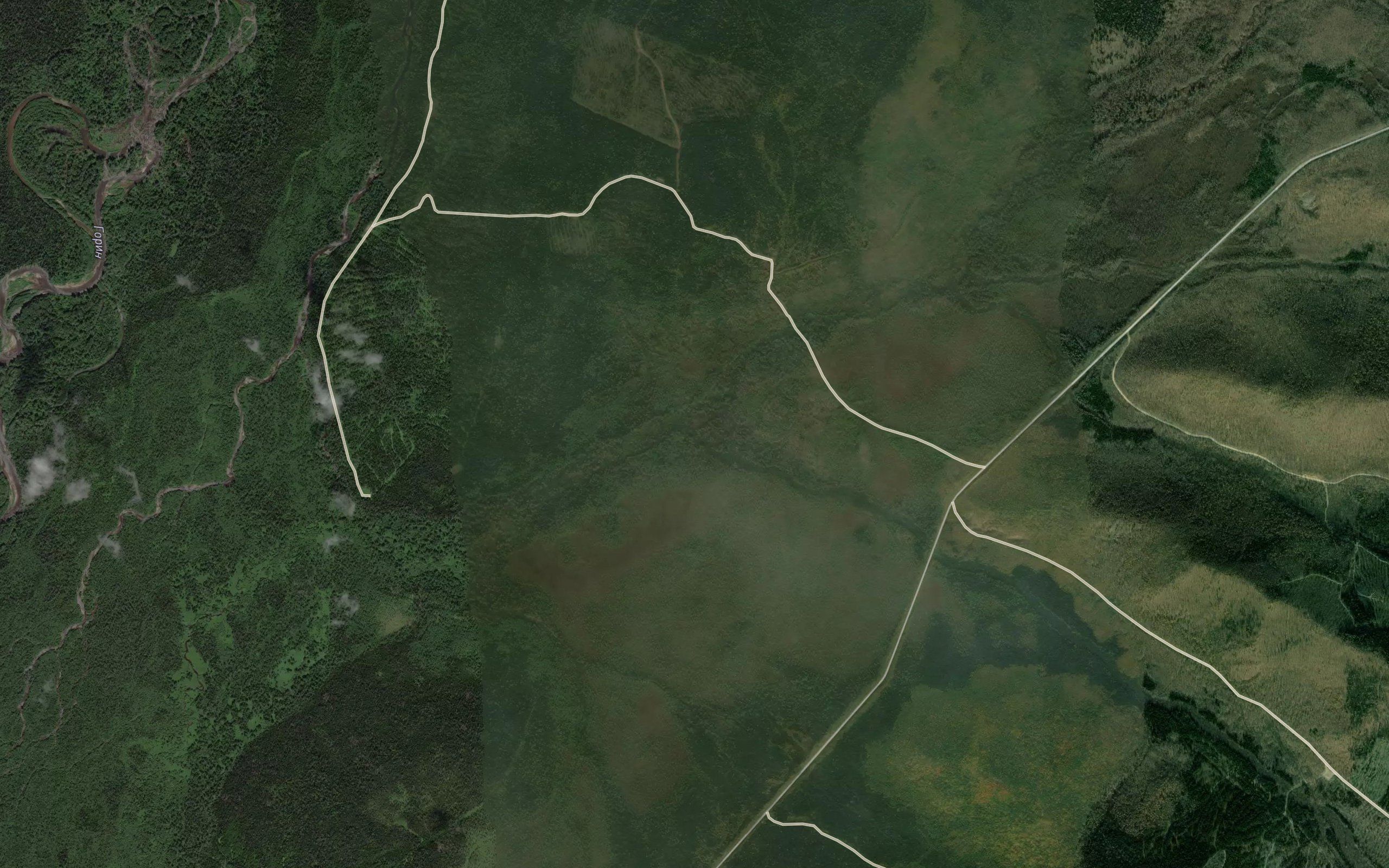 Ogdyn'-Bira