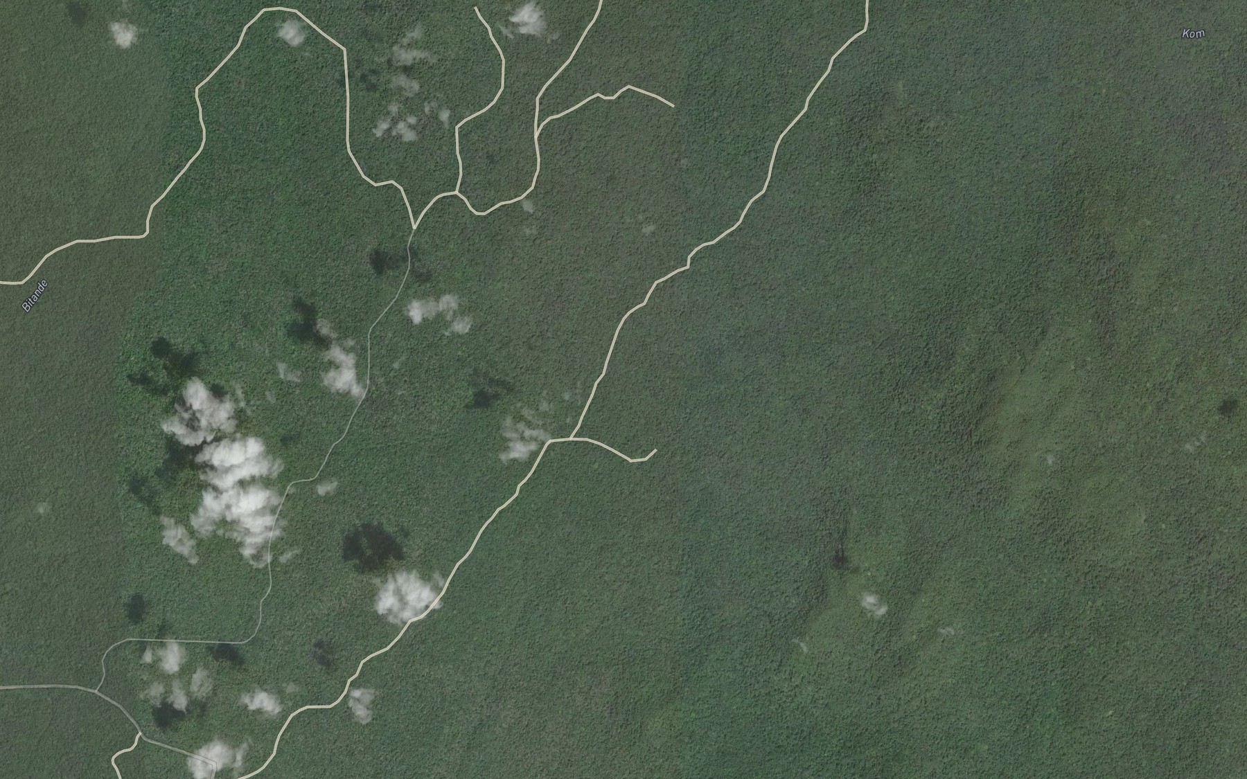 Satellite map of the Ngate