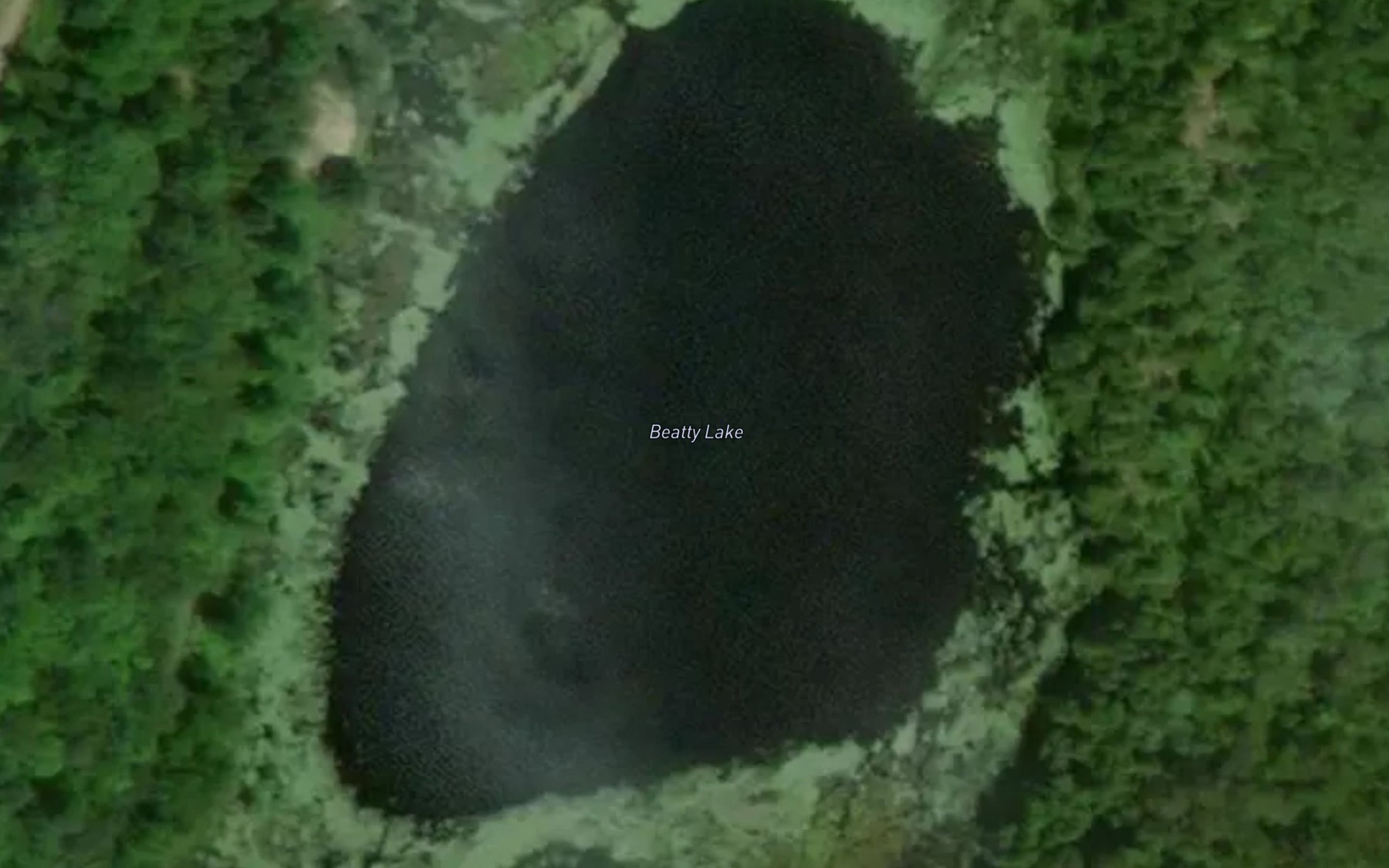 Satellite map of the Beatty Lake