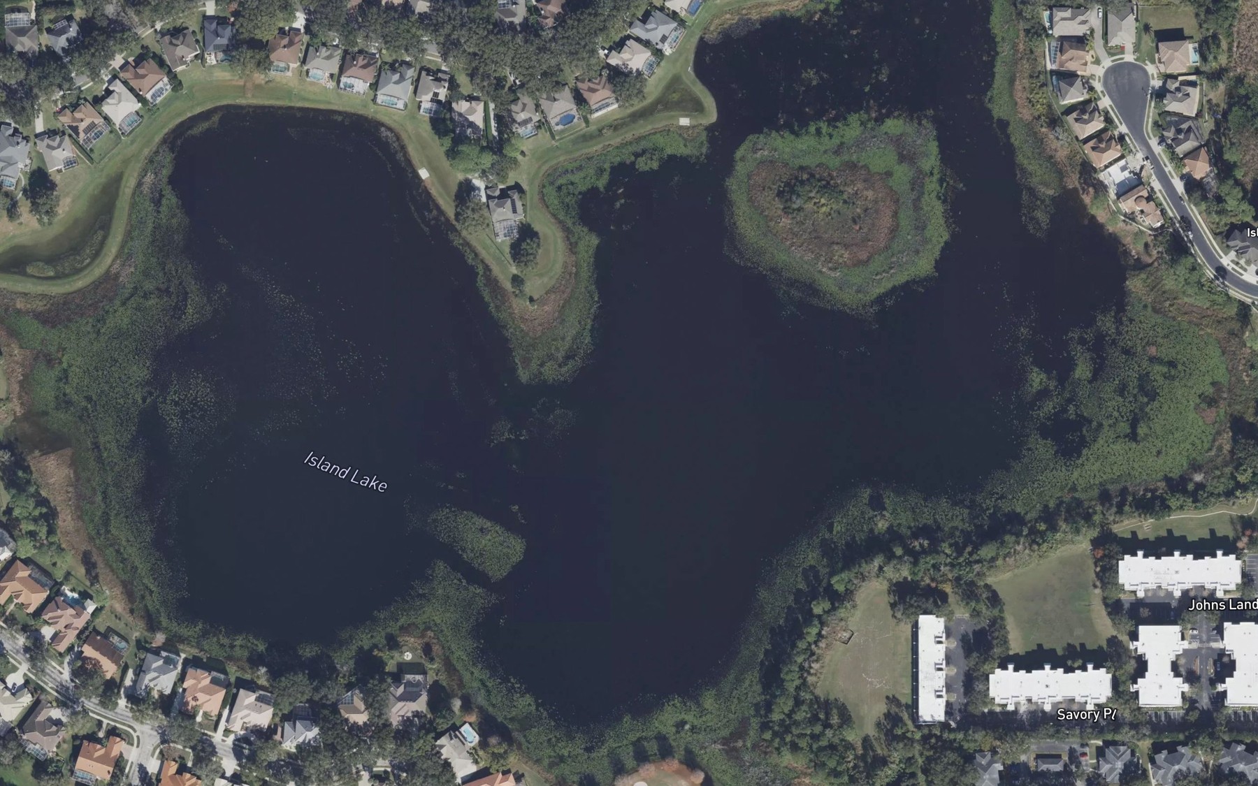 Satellite map of the Island Lake