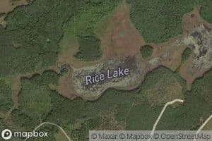Rice Lake