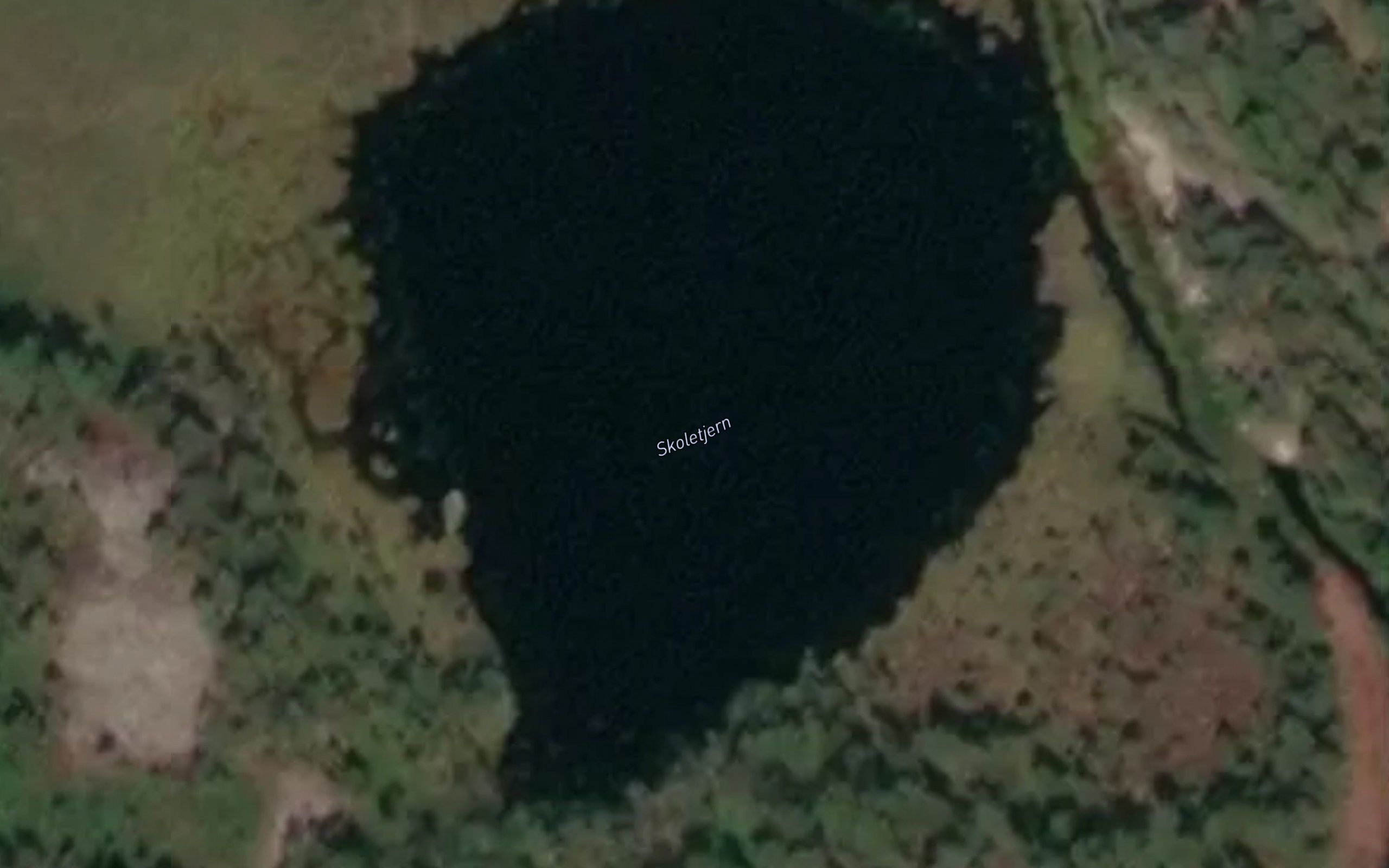 Skoletjern