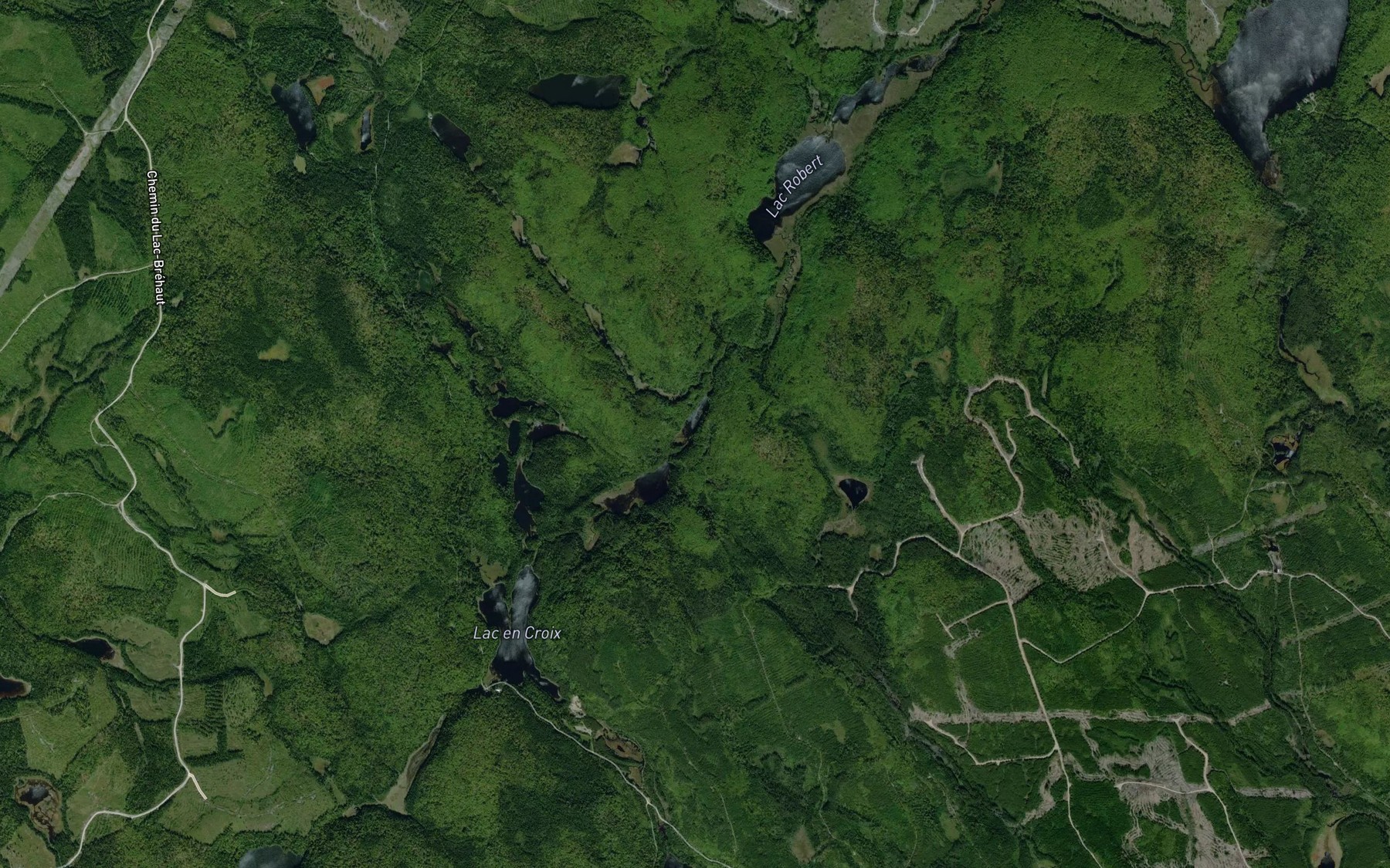 Satellite map of the Lac du Turion