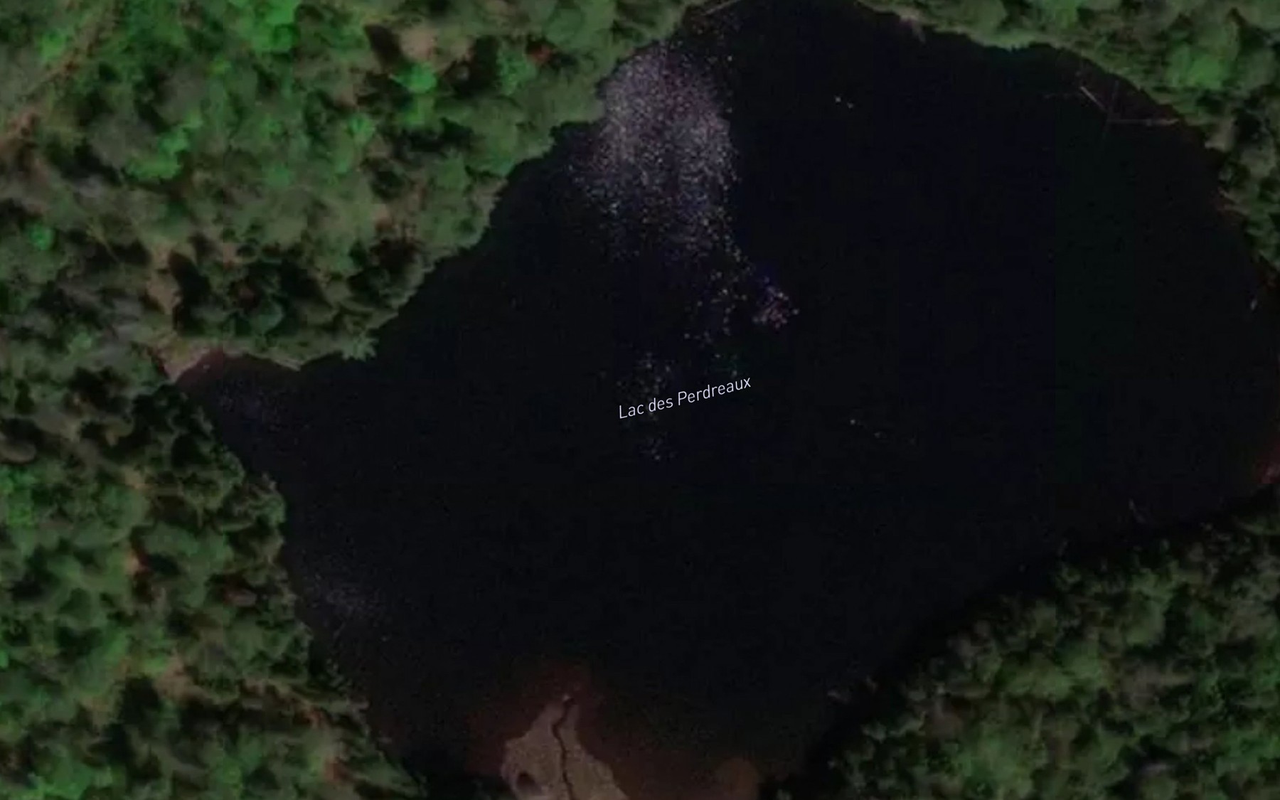 Satellite map of the Lac des Perdreaux