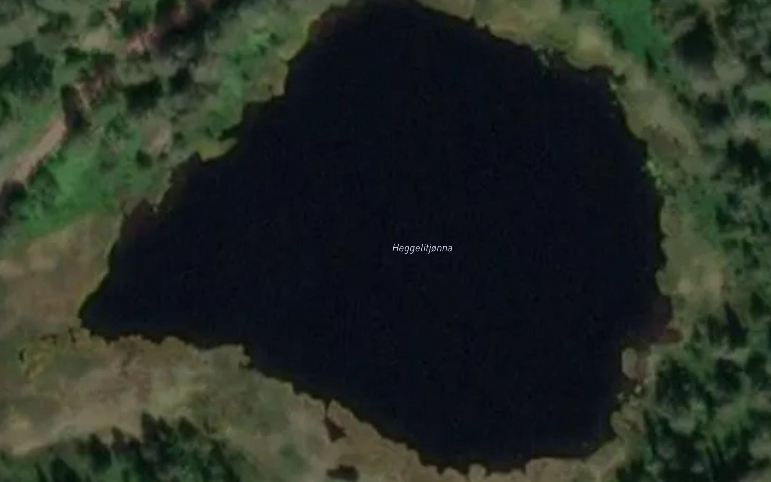 Heggelitjonna