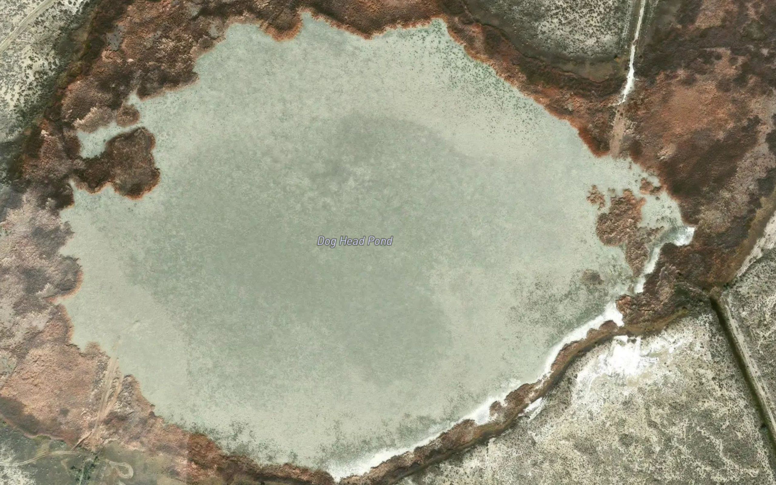 Dog Head Pond