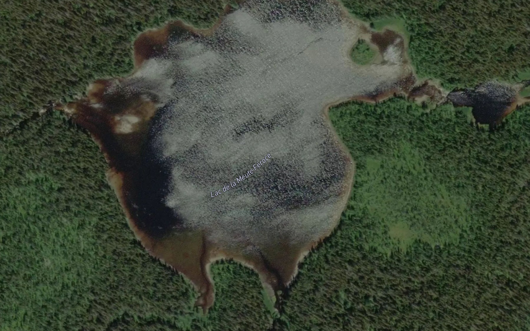 Satellite map of the Lac de la Meute Feroce