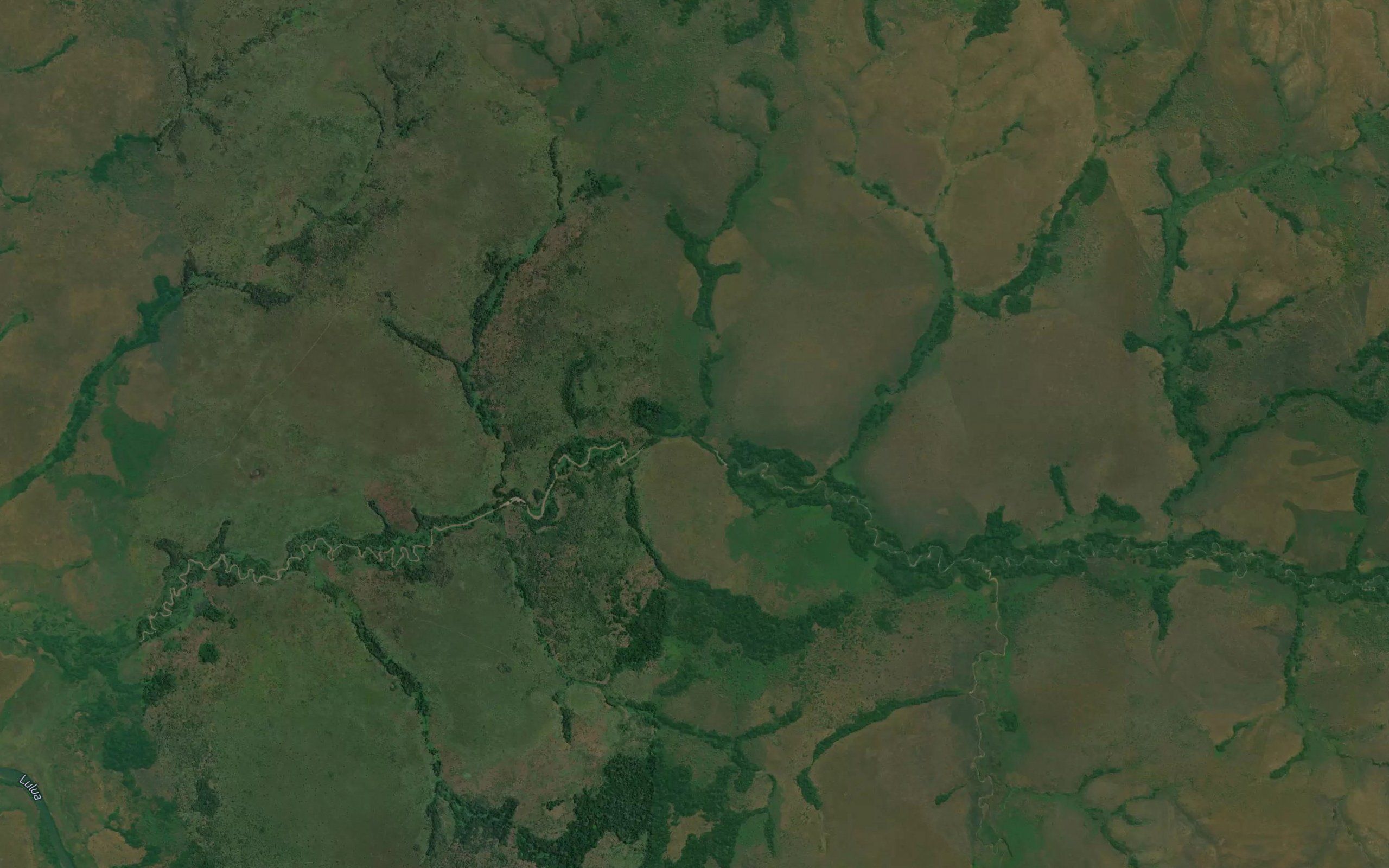 Kadjonga