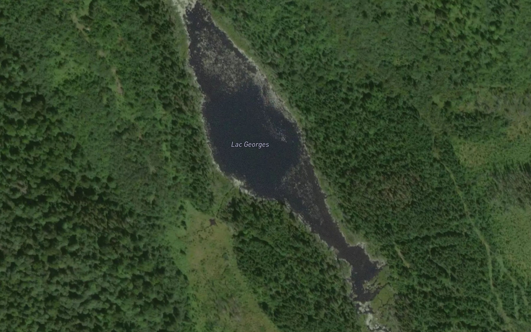 Satellite map of the Lac Georges