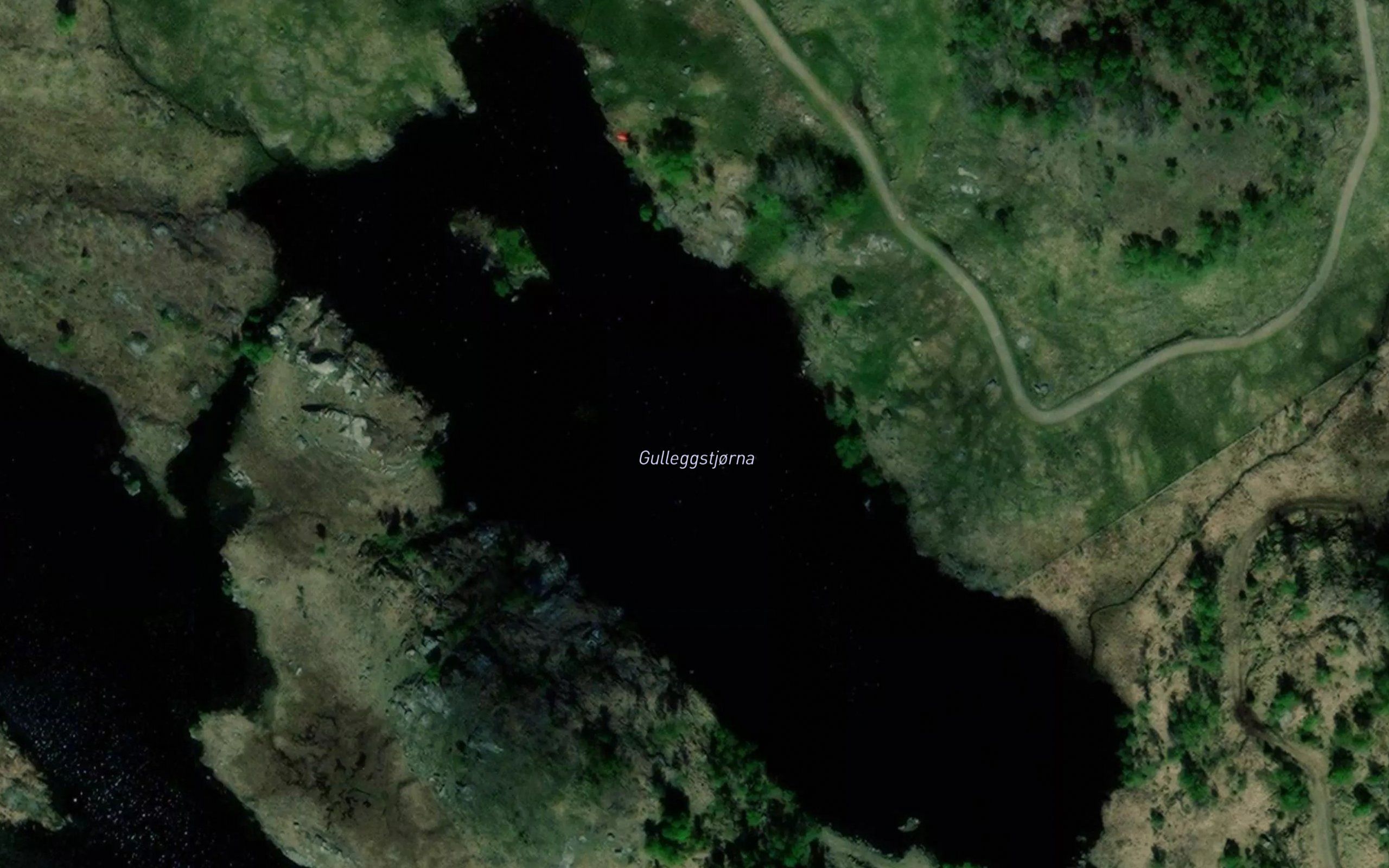 Gulleggstjorna
