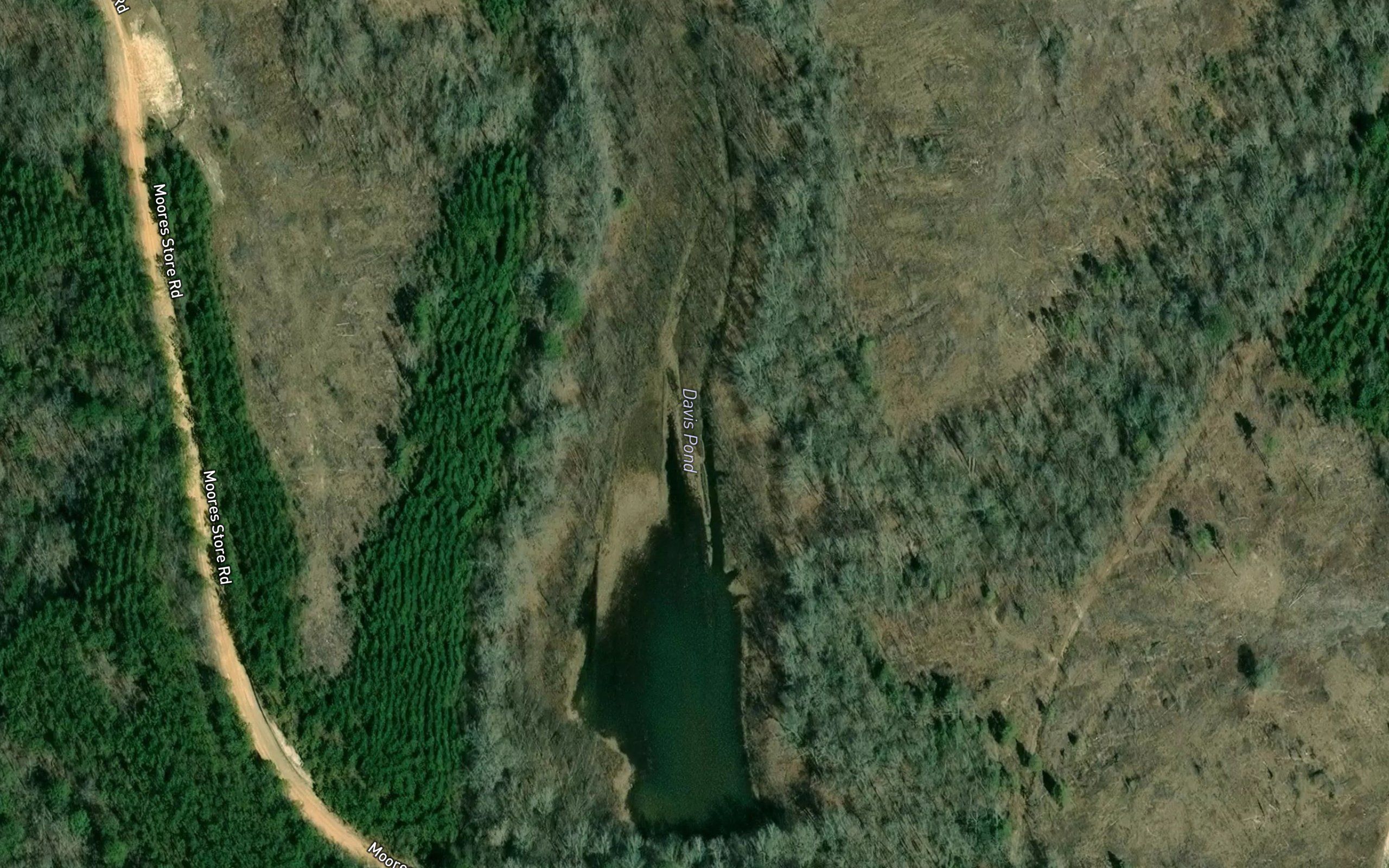 Davis Pond